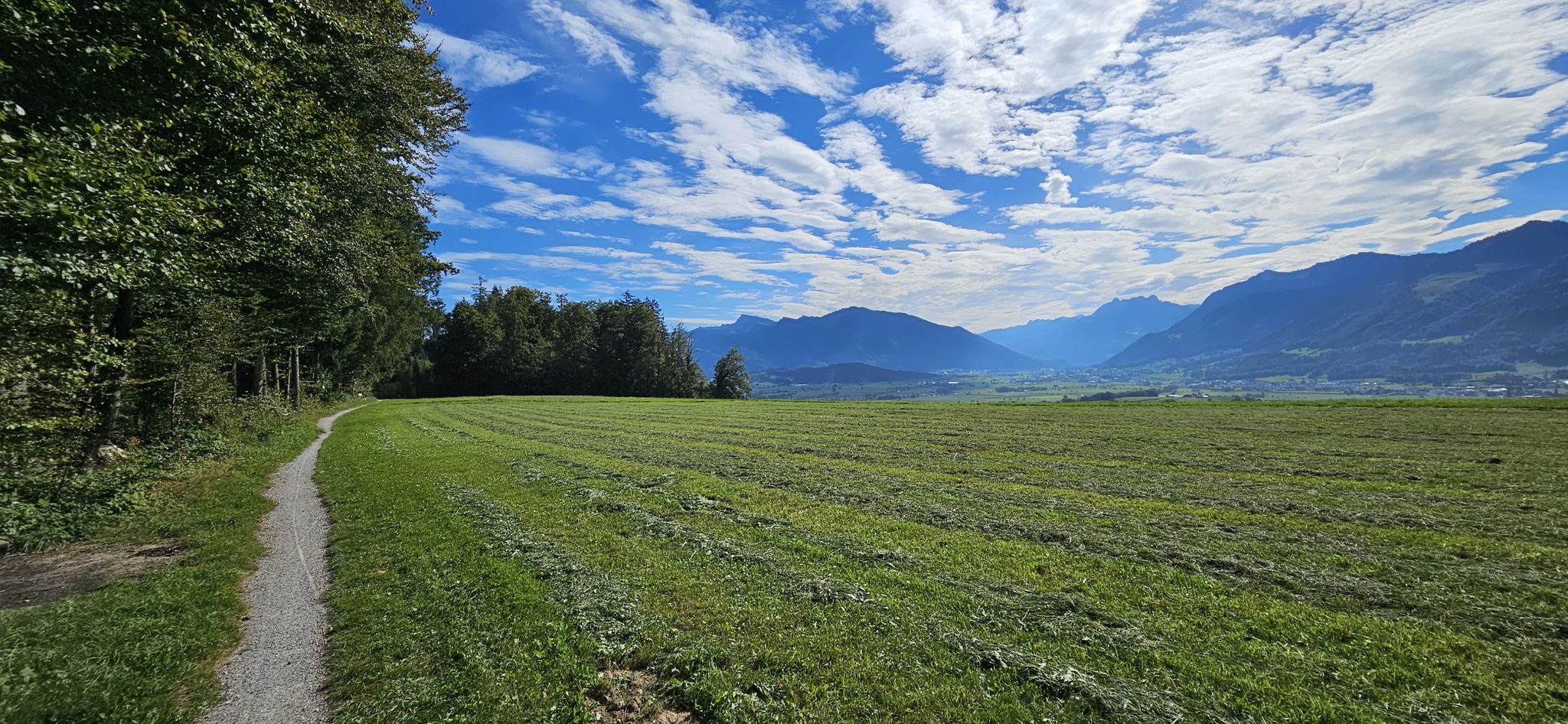 Auf der Höhe Legi mit Blick auf die Linth Ebene.