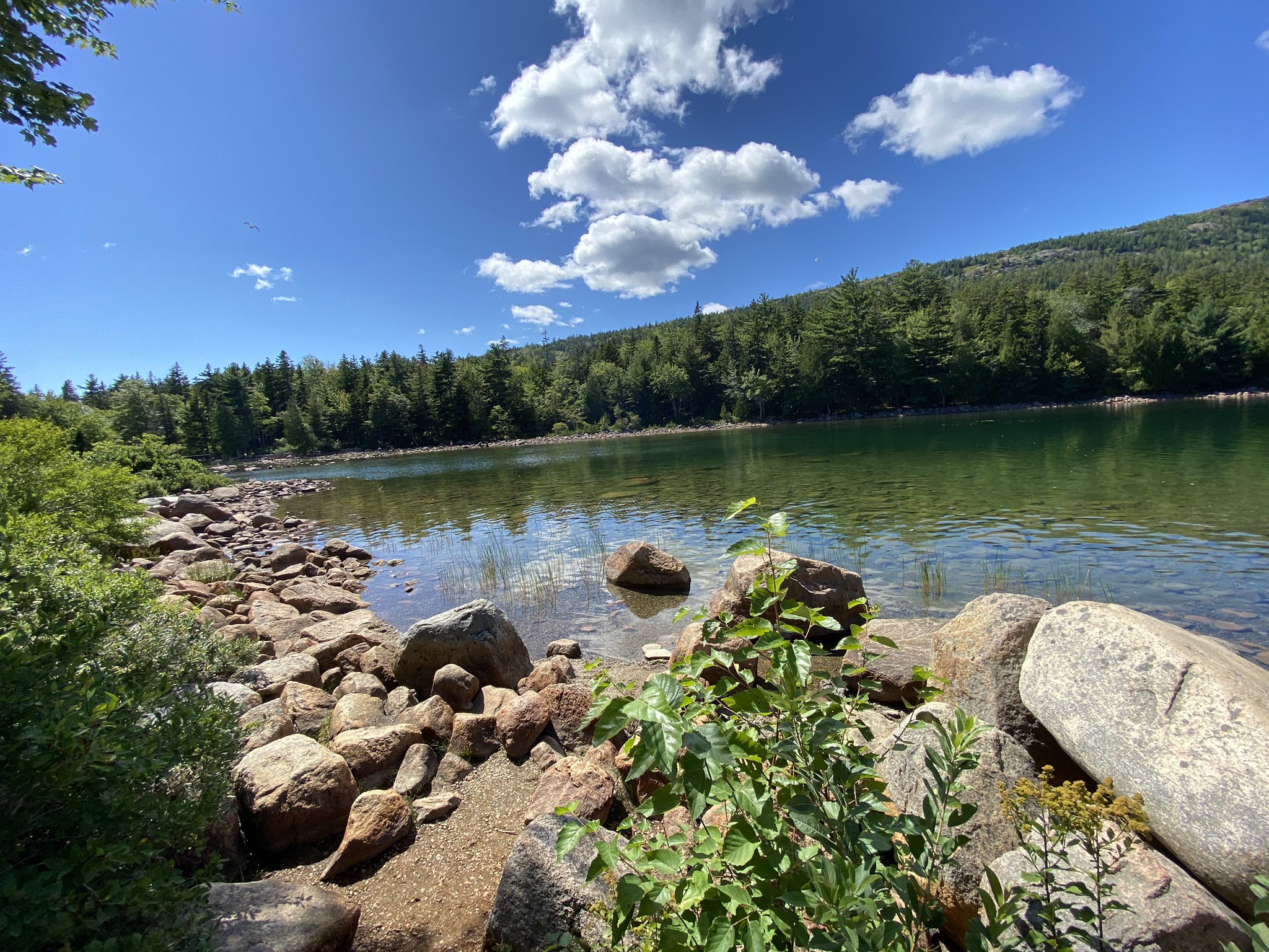 Clear lake with rocky shore and green trees under a bright, cloudy sky. - Carriage, David and Neva Trail Loop
