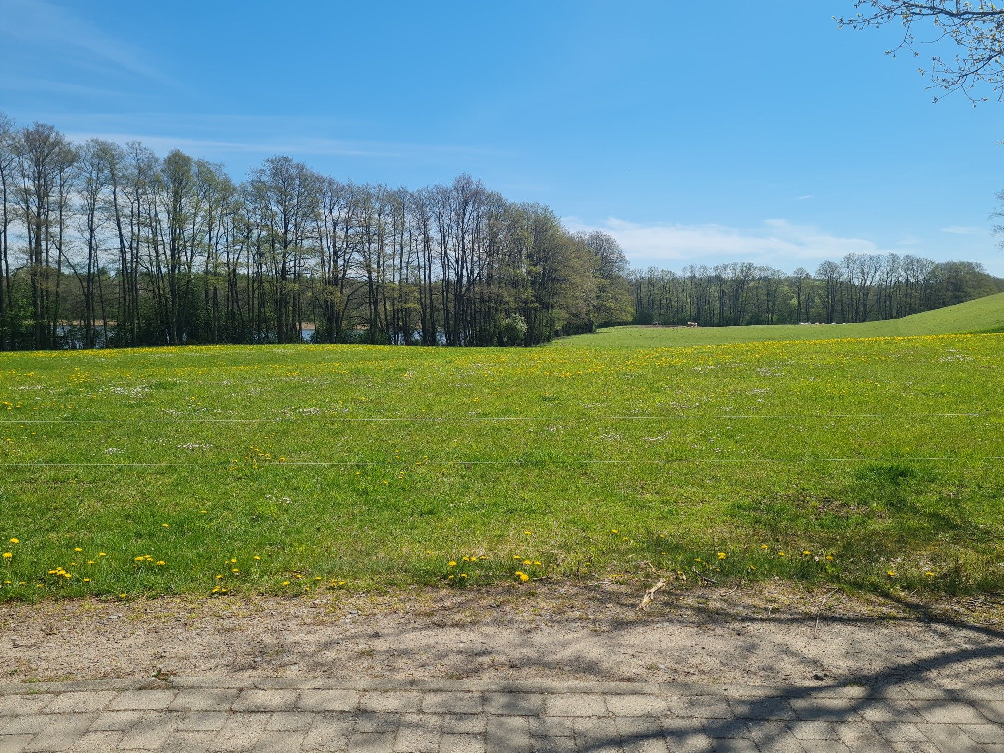 Neuenkirchen 