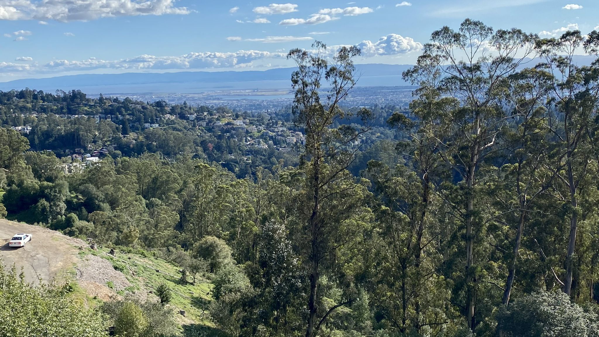Overlook of a vast forested valley with a distant city under a blue sky. - Grizzly Peak and Tunnel Road Cycling Route