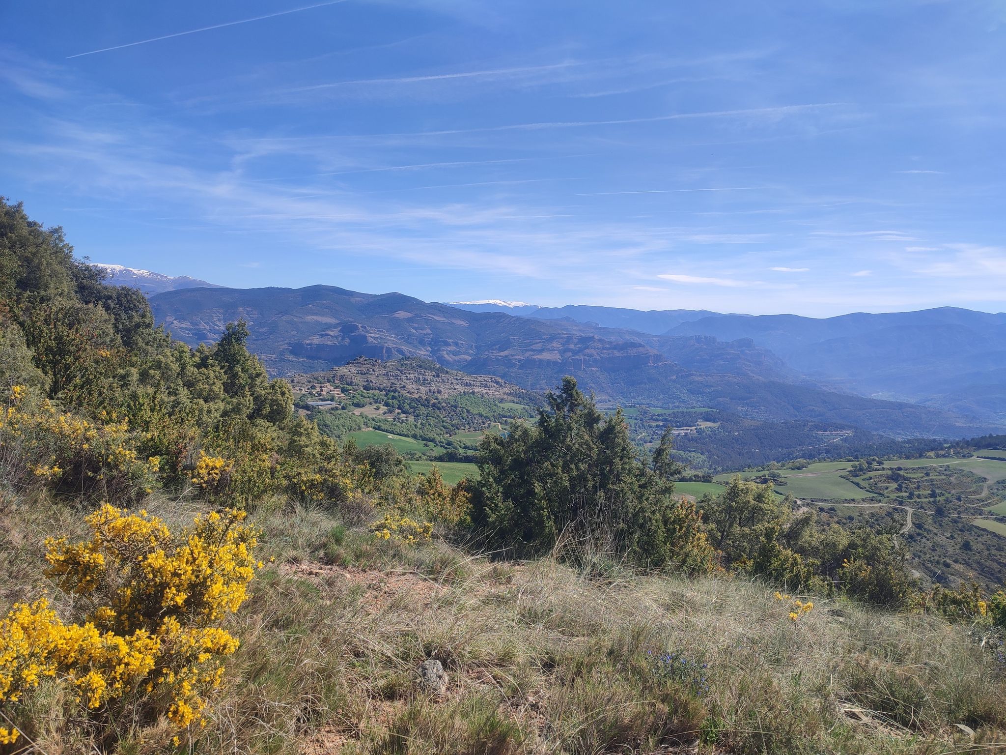 Toralla