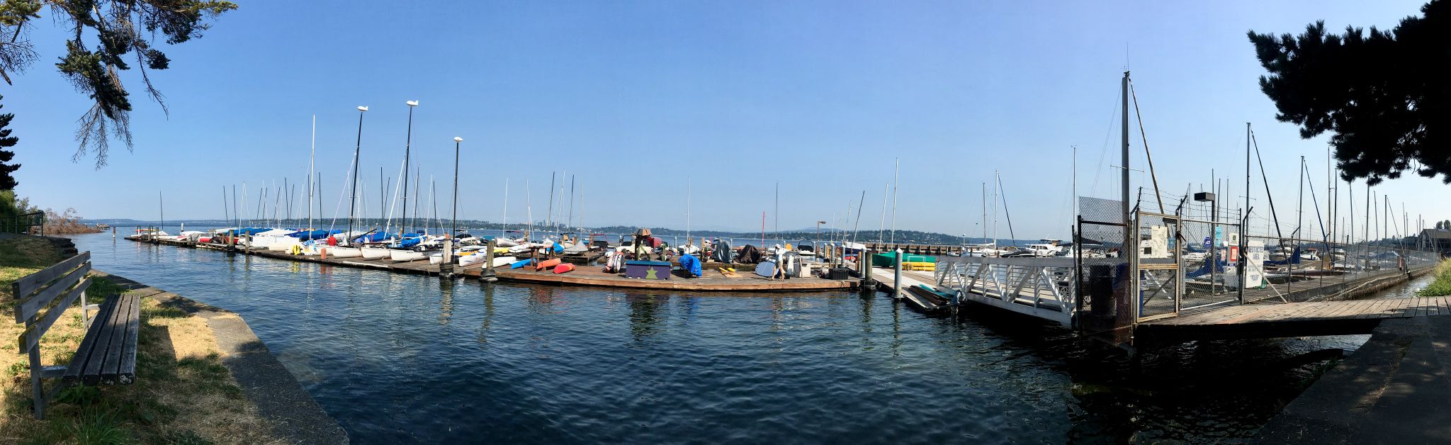 Panoramic view of a sunny marina filled with numerous sailboats on calm water. - Madrona Park Trail