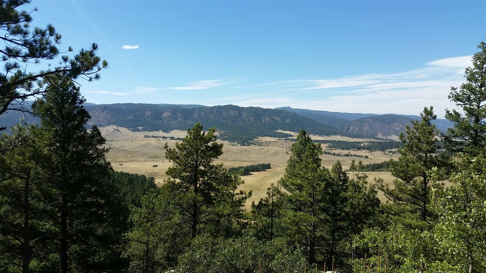 Expansive view of a green valley and distant mountains under a clear sky. - Spruce Mountain Loop