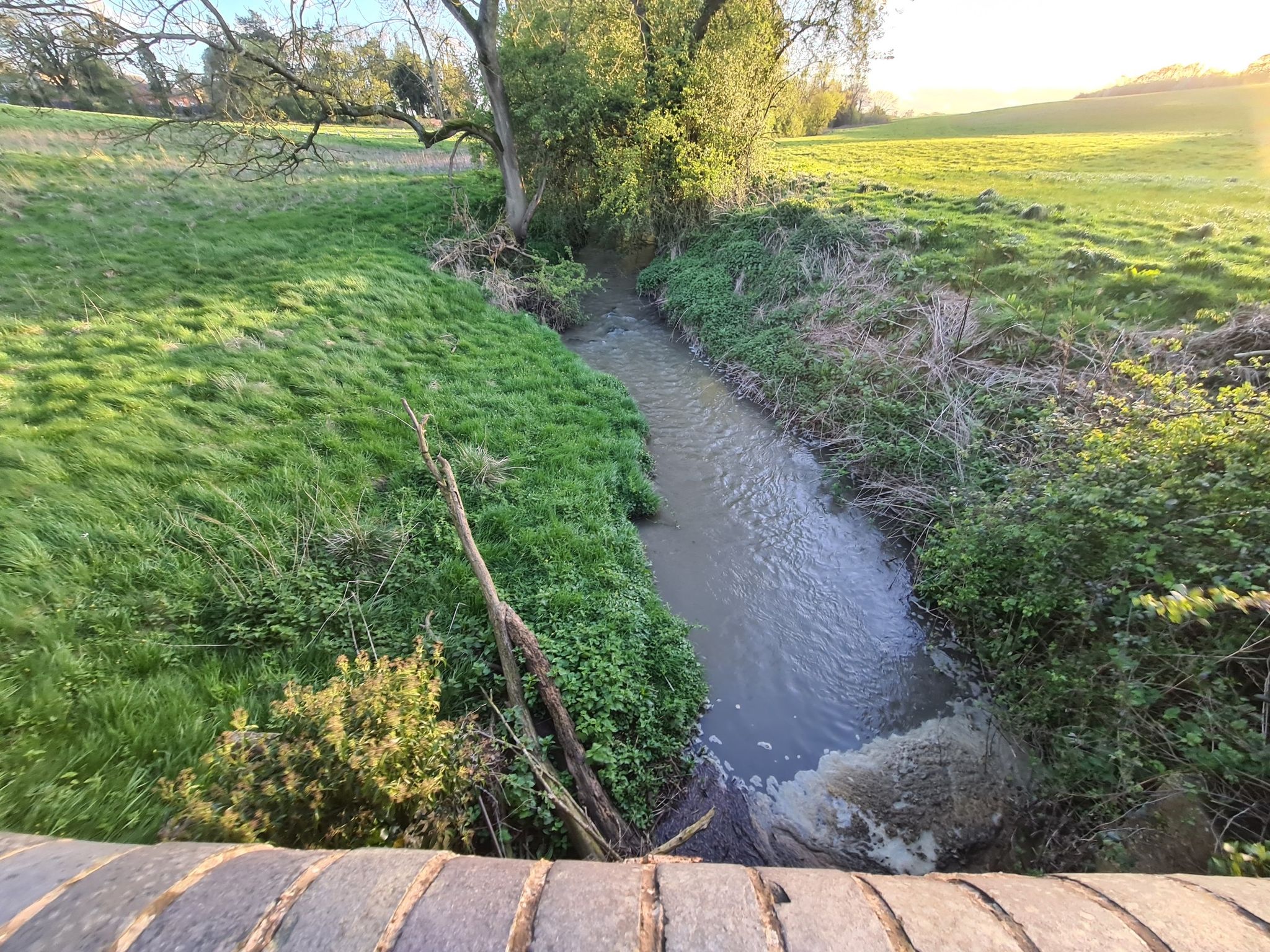 Lovely little stream ennit mate