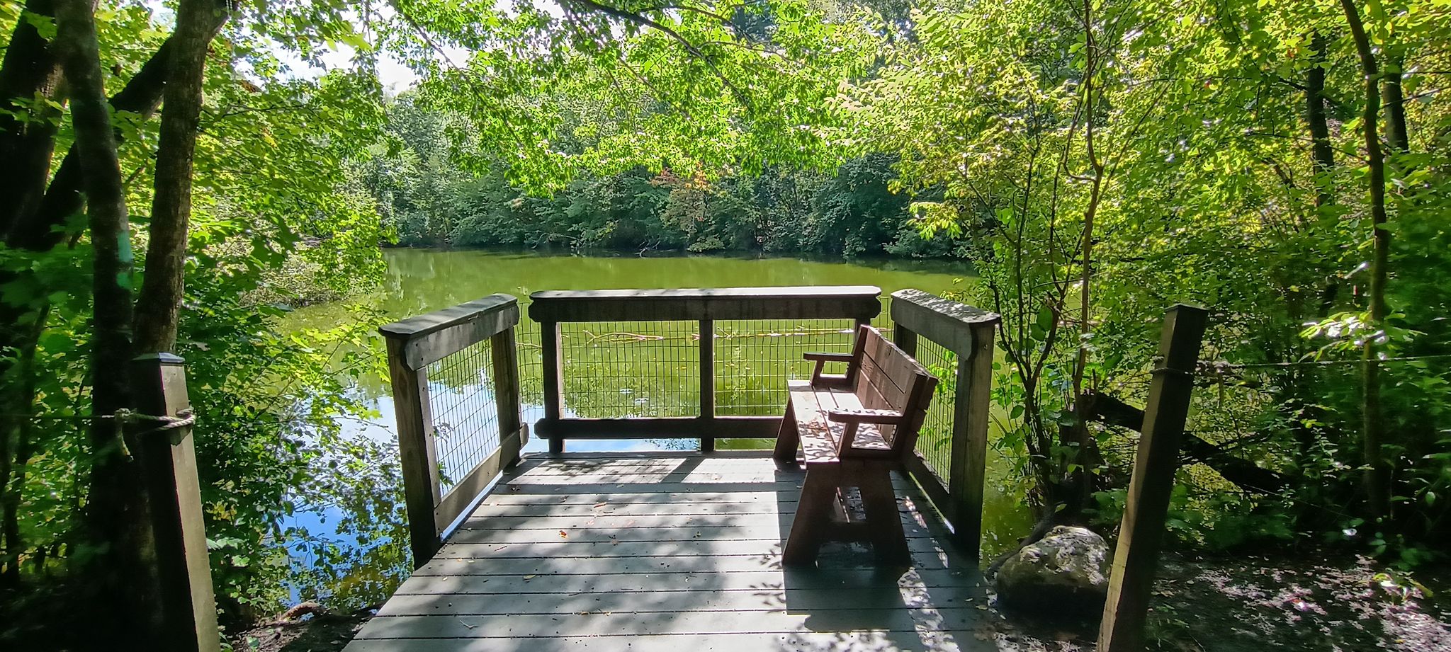 brothers pond