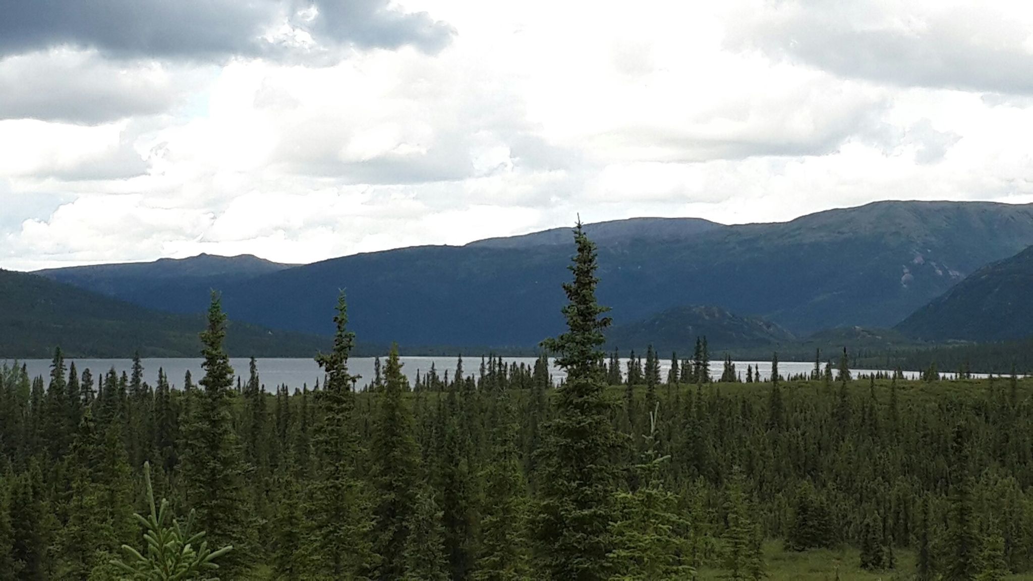 AK, Denali Ntl Park road, Wonder Lake