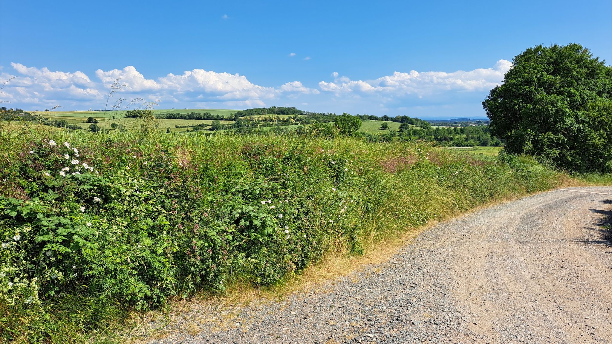 Descente vers Vallois et vue sur les Vosges