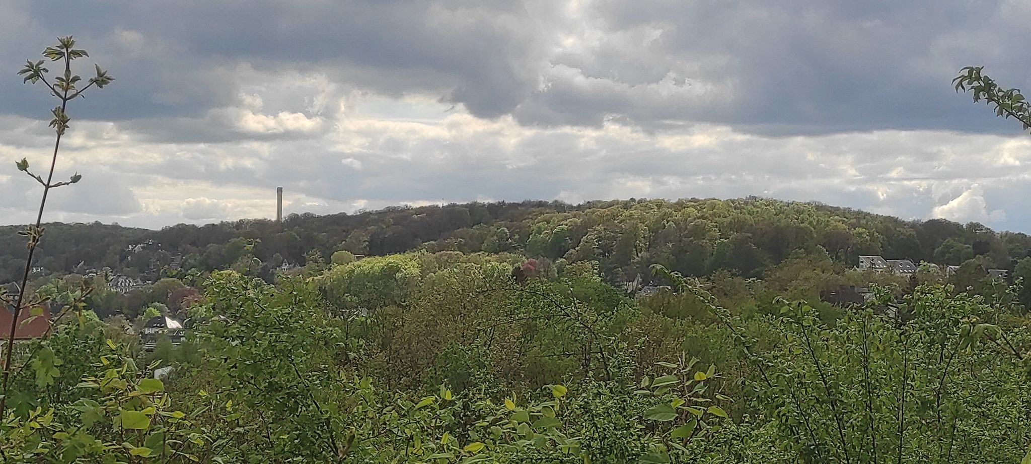 Blick auf den Nützenberg