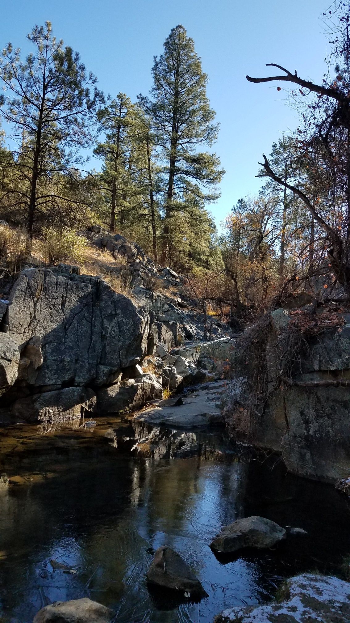 A clear stream flows over rocks, surrounded by trees and cliffs. - Helipad-like Concrete Square – Rocky Creek loop from Oak Knoll Village