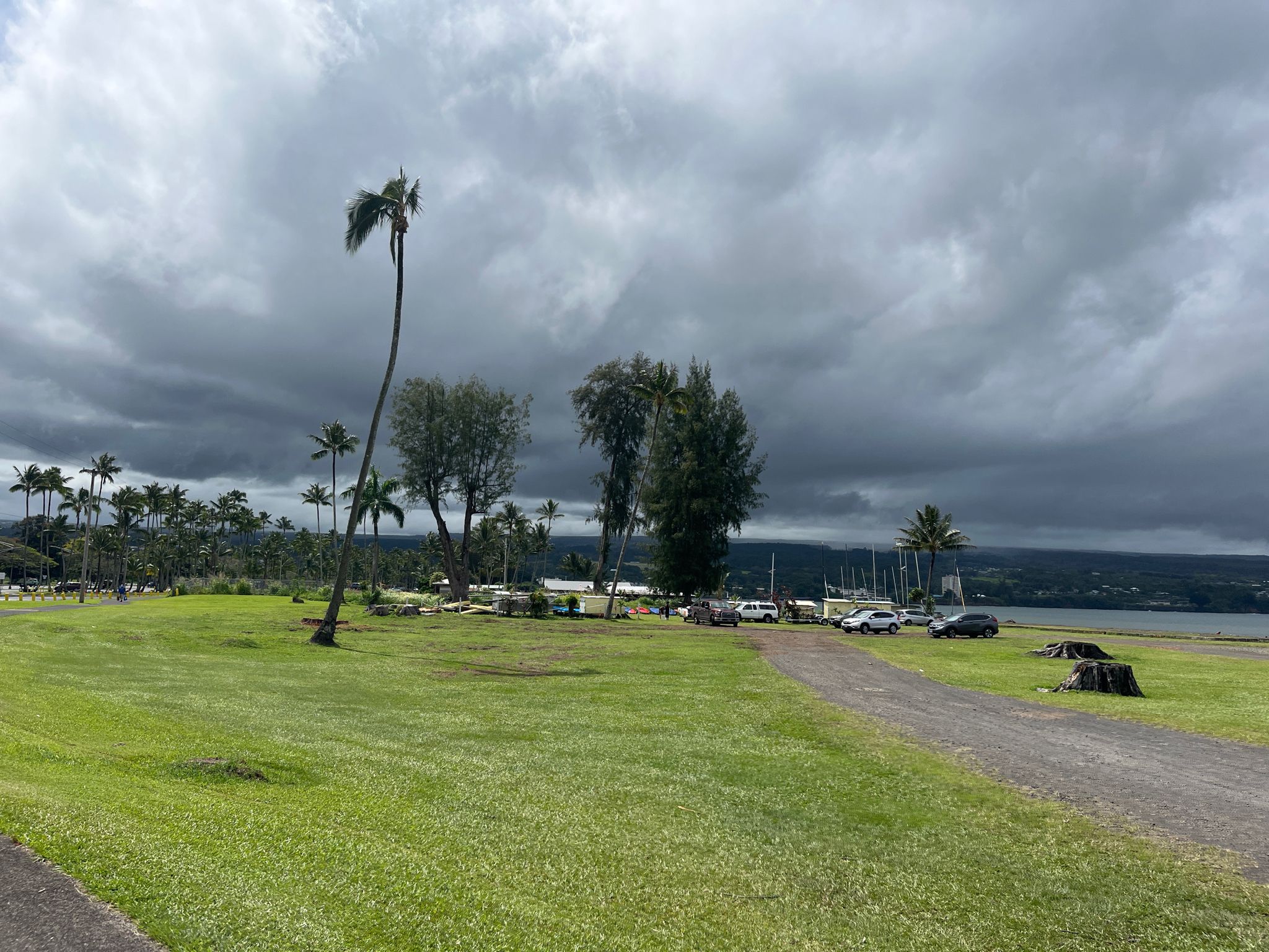 Grassy field with palm trees under a dark, cloudy sky, cars by distant water. - Hilo Bayfront Trail
