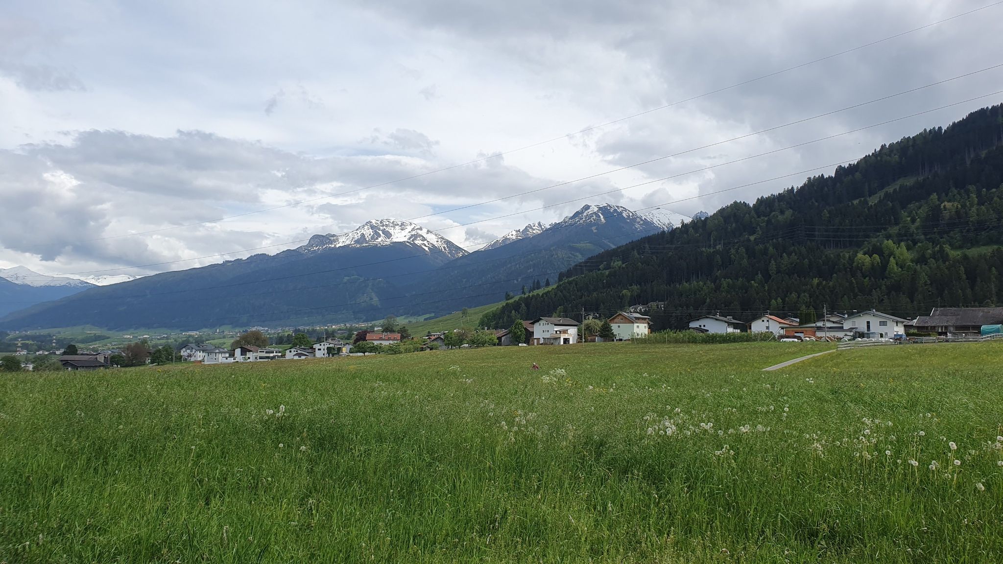 bergsicht