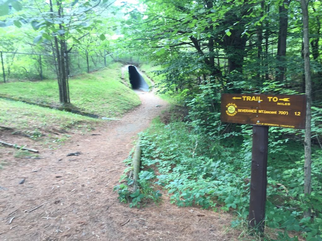 A dirt trail leads into a dark tunnel through a lush green forest. - Severance Mountain