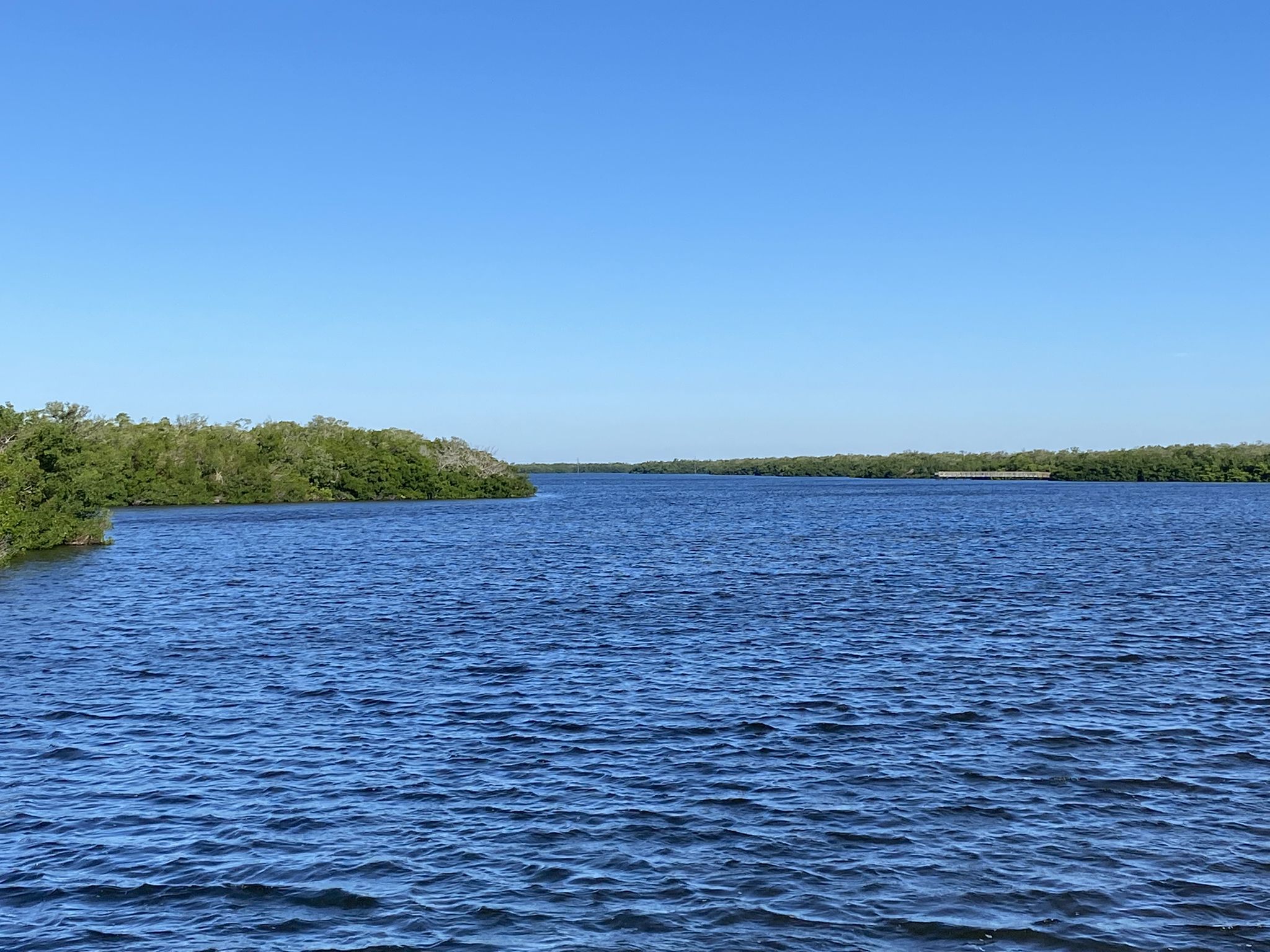 Ausflug ins Robinson Preserve