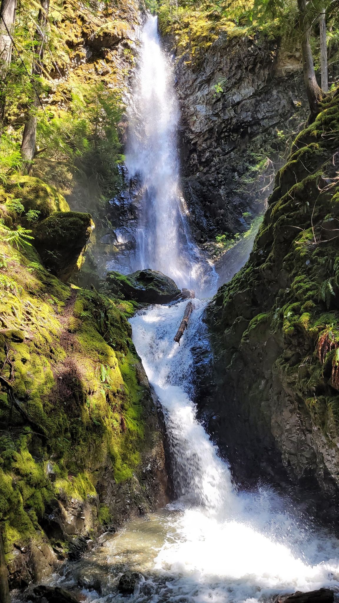 Lupin Falls
