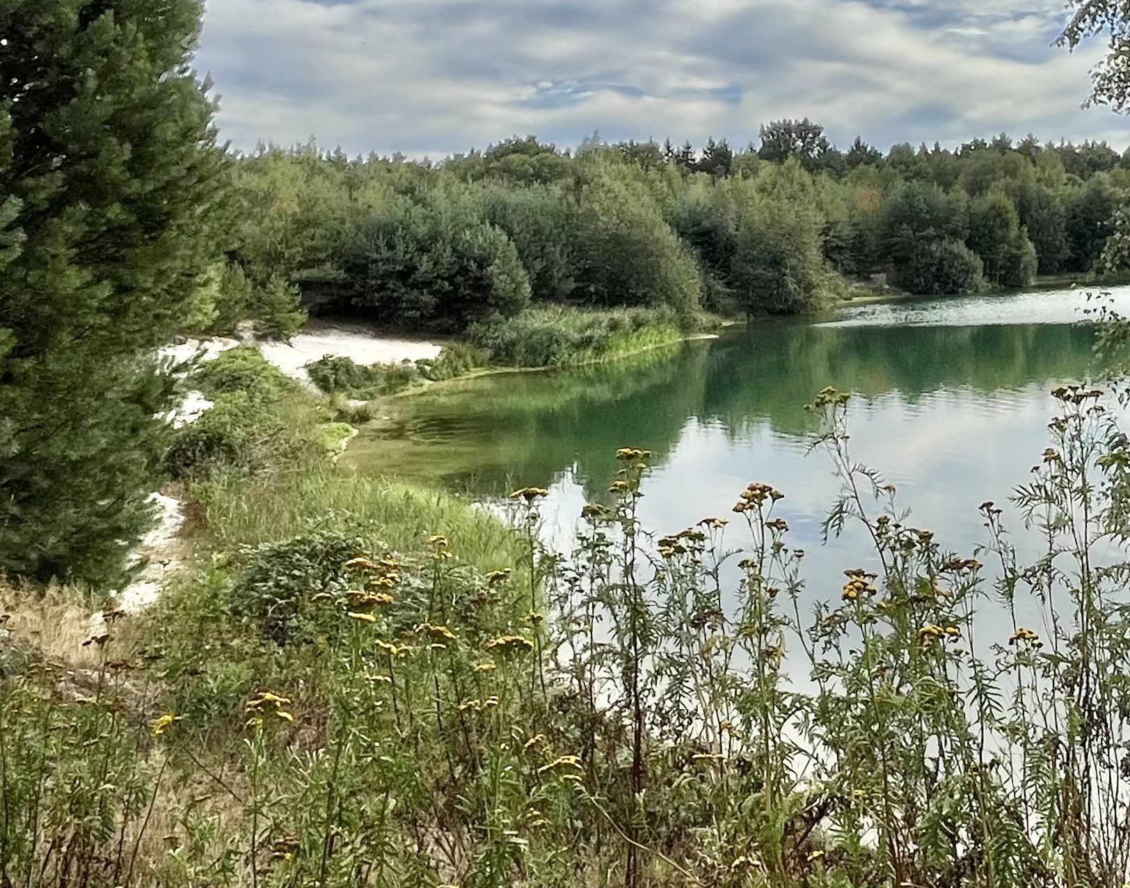 Wasser schimmert blaugrün