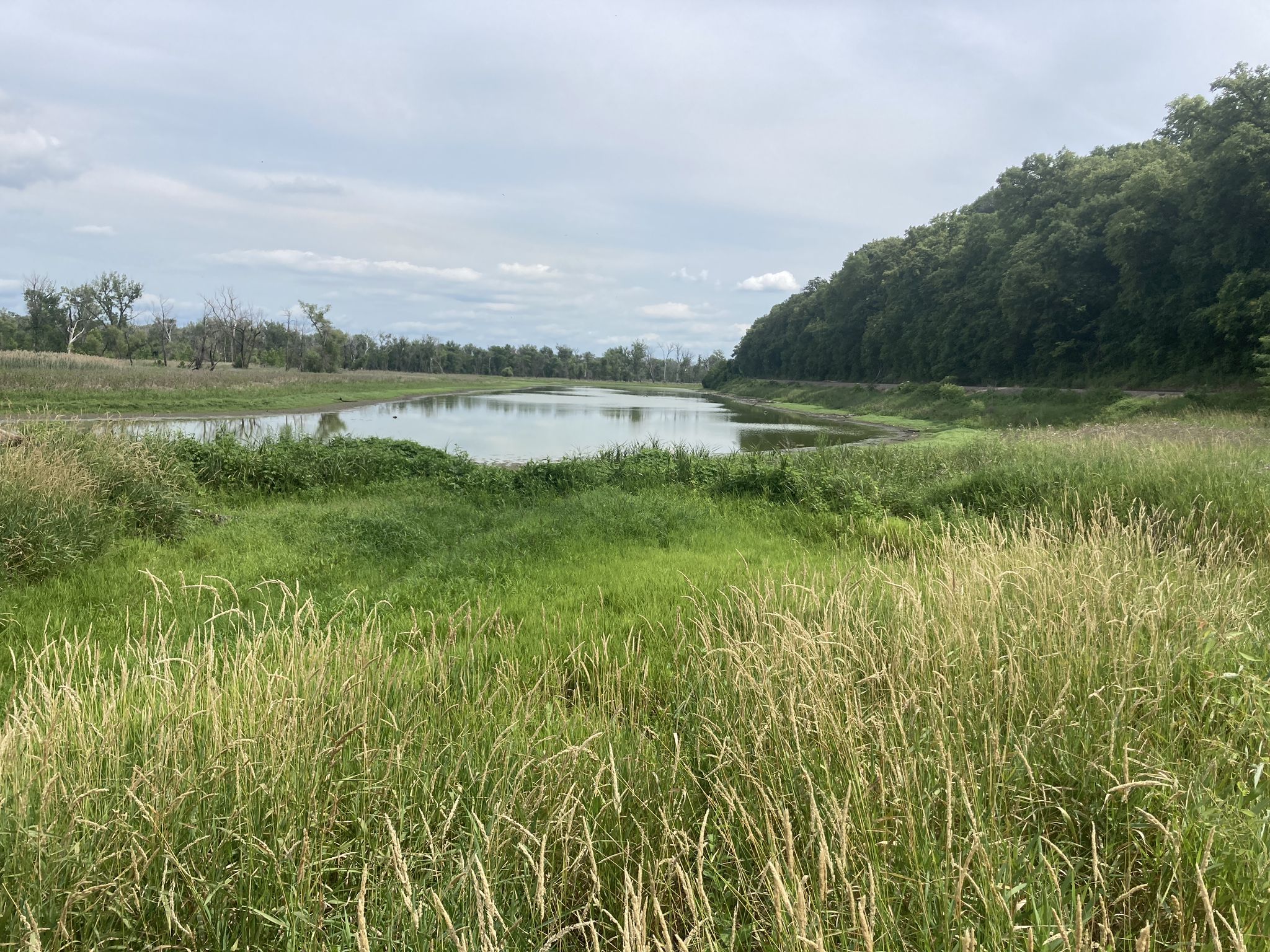 Calm lake surrounded by tall green and golden grass under a cloudy sky. - Pond, Mormon Hollow, Signal Ridge, Handsome Hollow, and Stream Trail