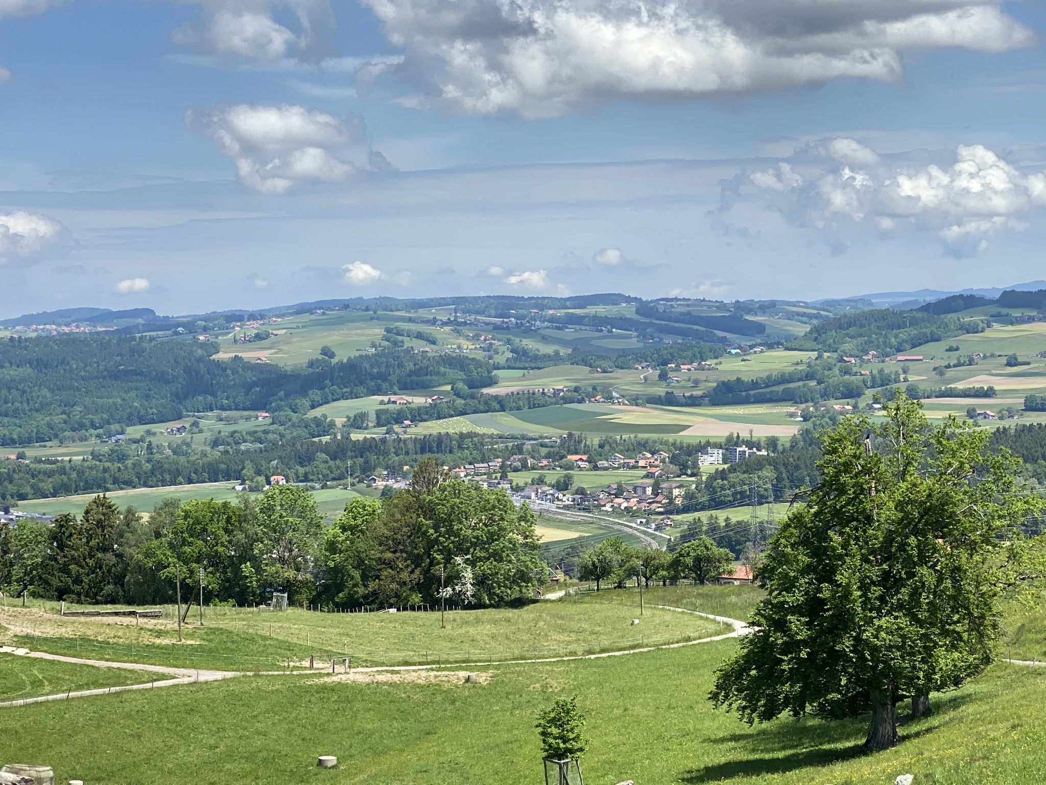 nochmals ein Blick zum Bahnhof Palézieux