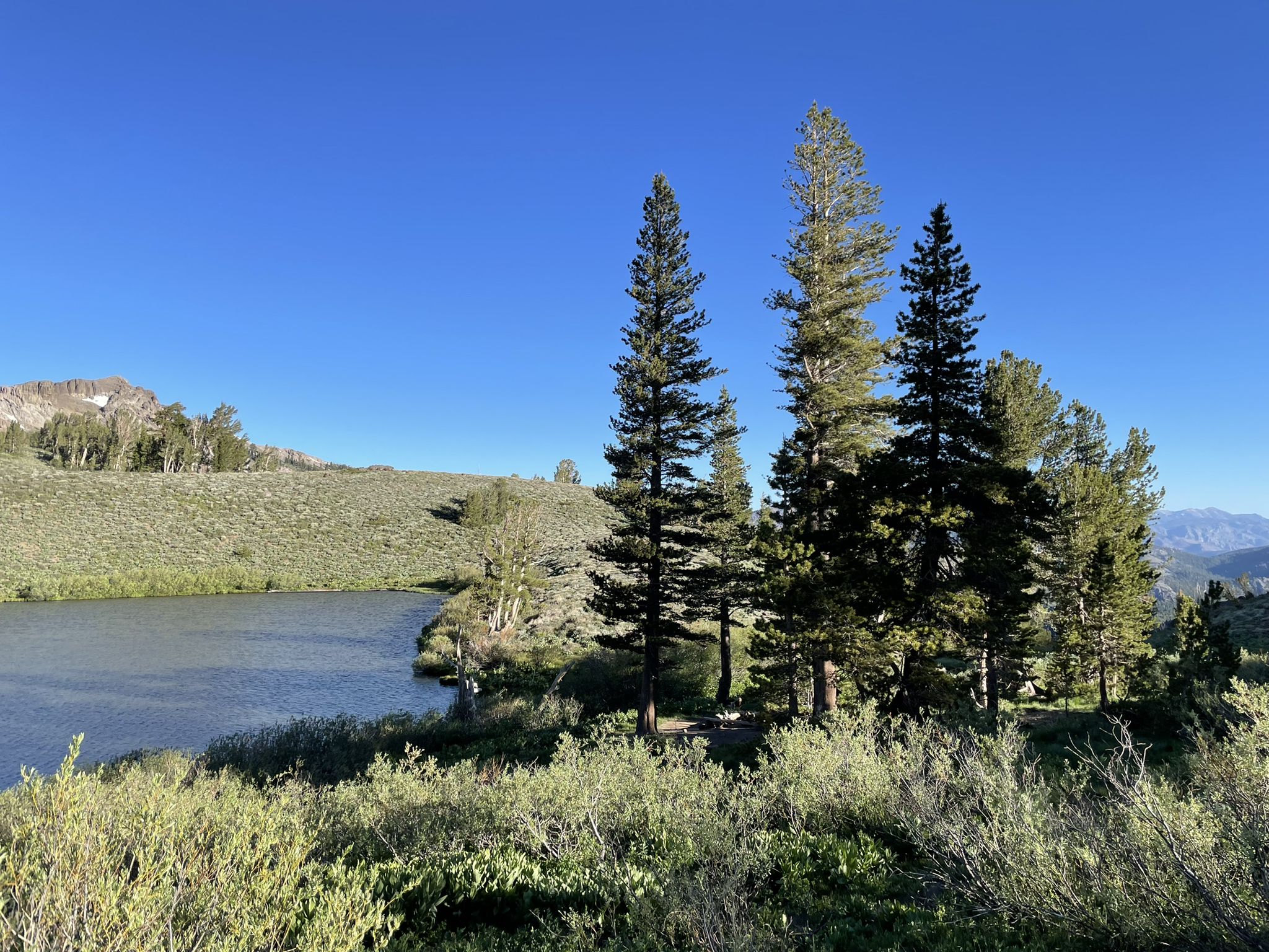 Calm lake surrounded by green hills and tall pine trees under a clear sky. - Noble Lake via PCT