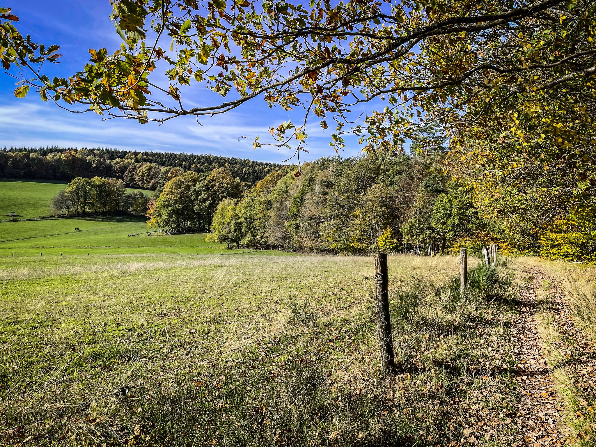 …und zwar mit Weitsicht