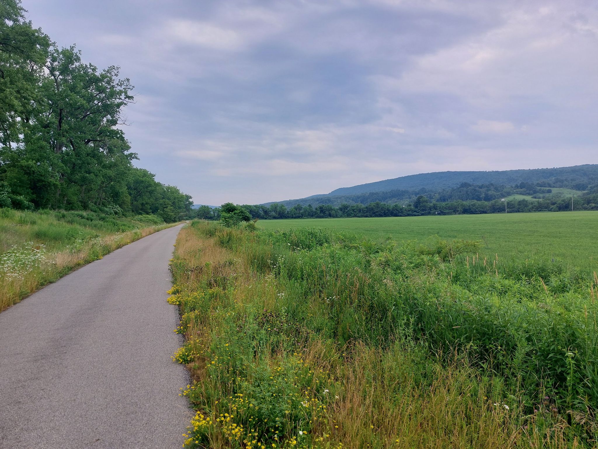 Paved path next to a green field and distant hills under cloudy sky. - Erie Canalway Trail