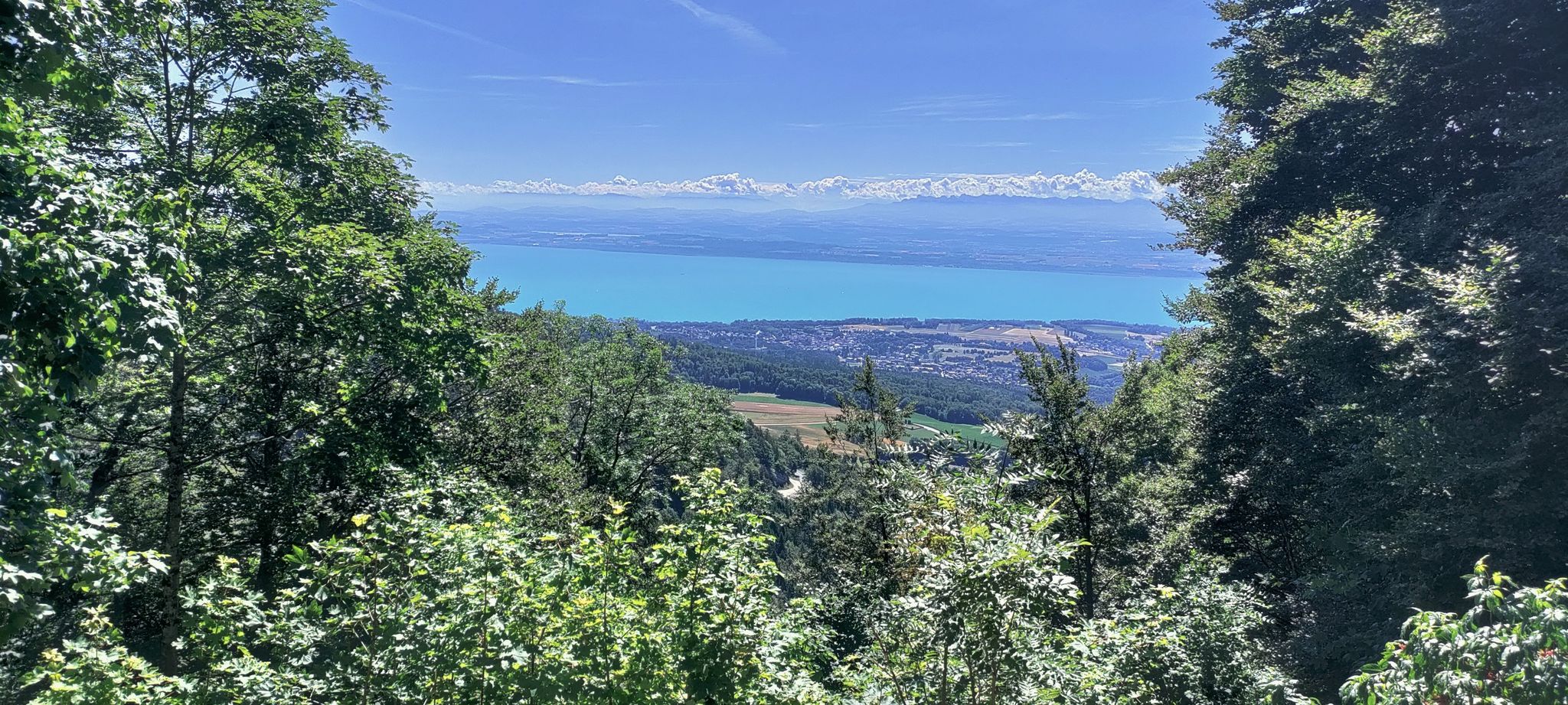 Neuenburgersee vom Col de la Tourne
