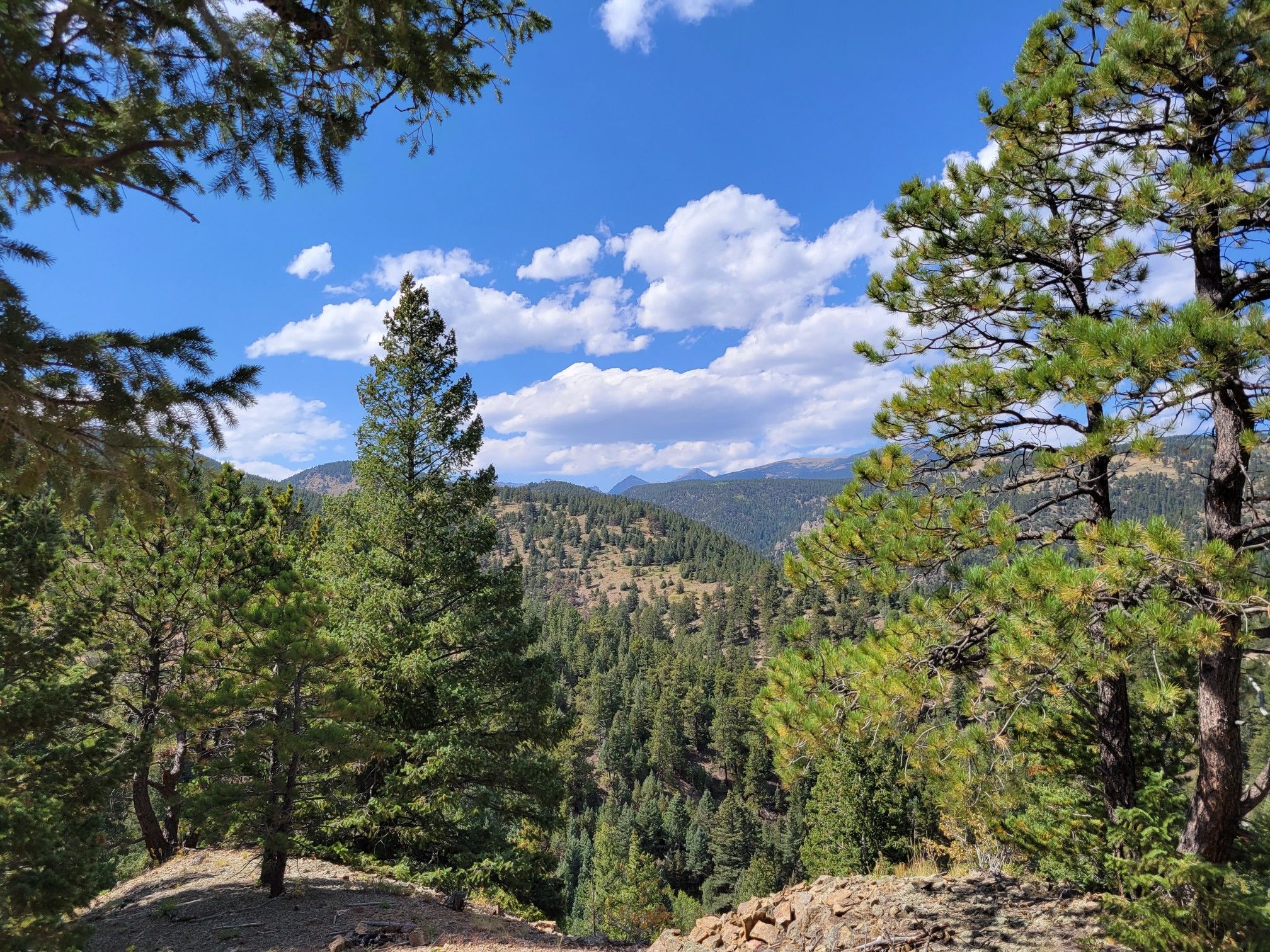 Mountainous forest landscape under a blue sky with white clouds. - Switzerland Trail and Gold Hill Loop