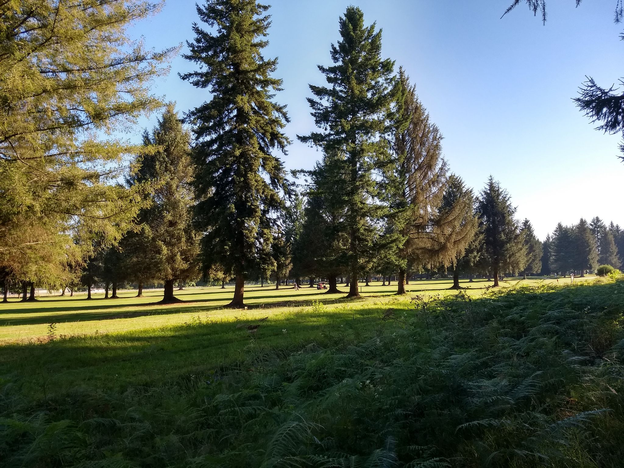 Le golf de Lannemezan.