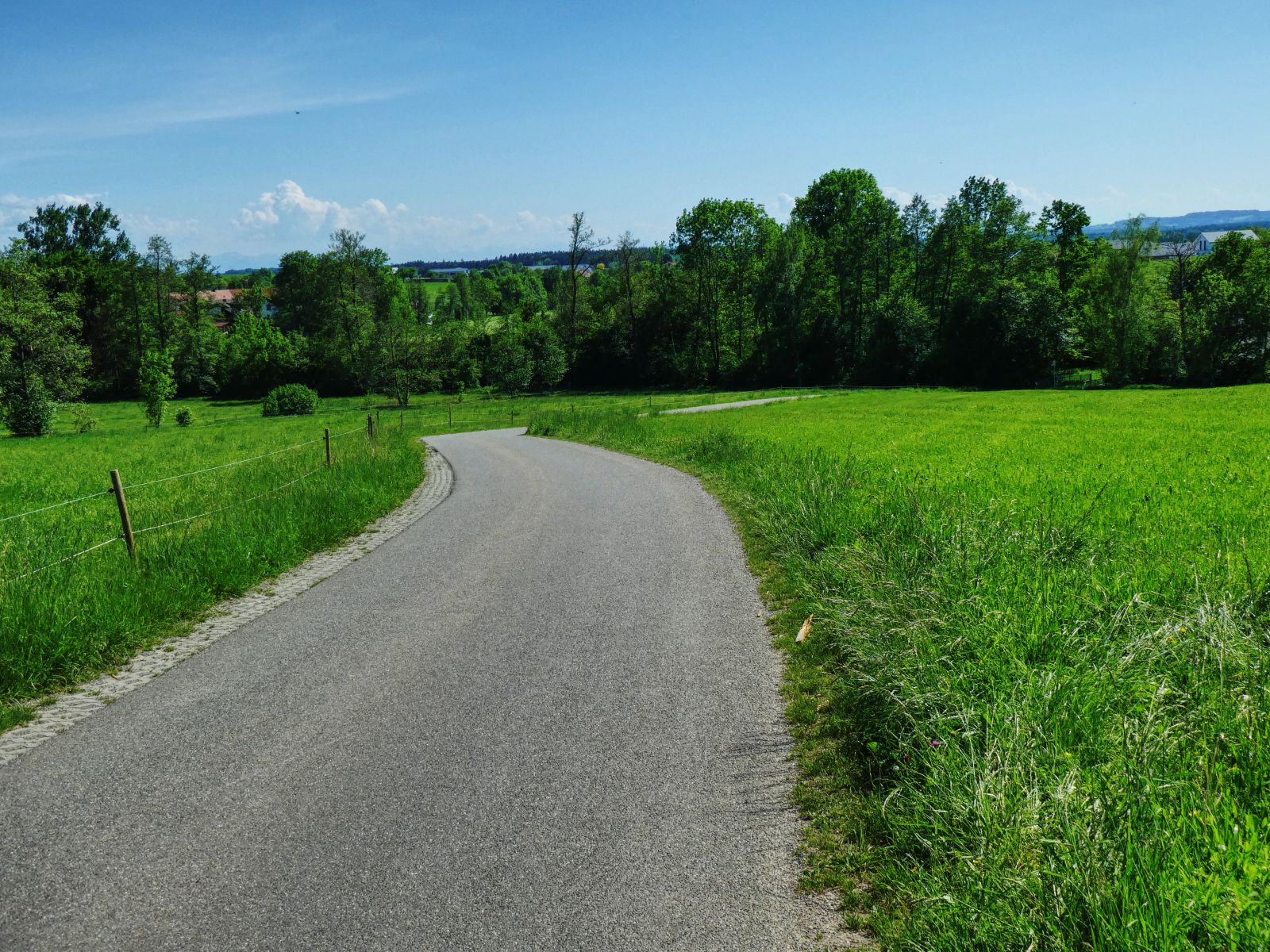 zwischen Ebersbach und Buch