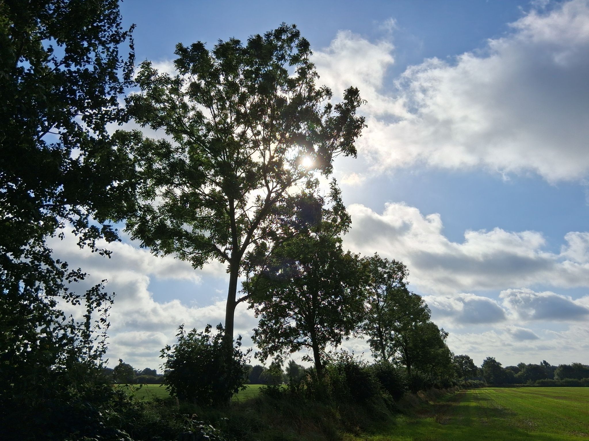 Am Ende zeigt sich Schleswig-Holstein von seiner sonnigen Seite