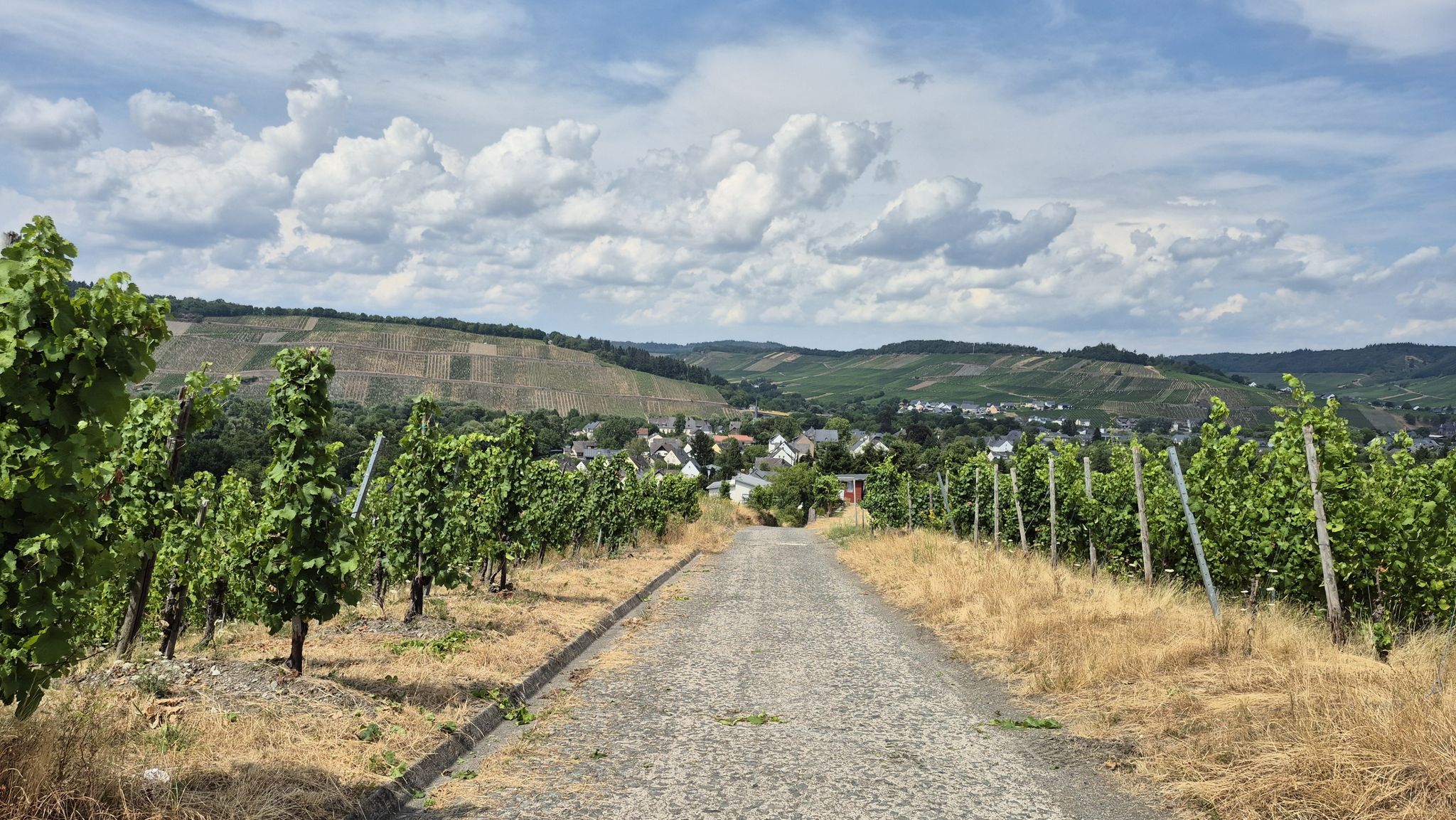 Mühlheim und Weinberge