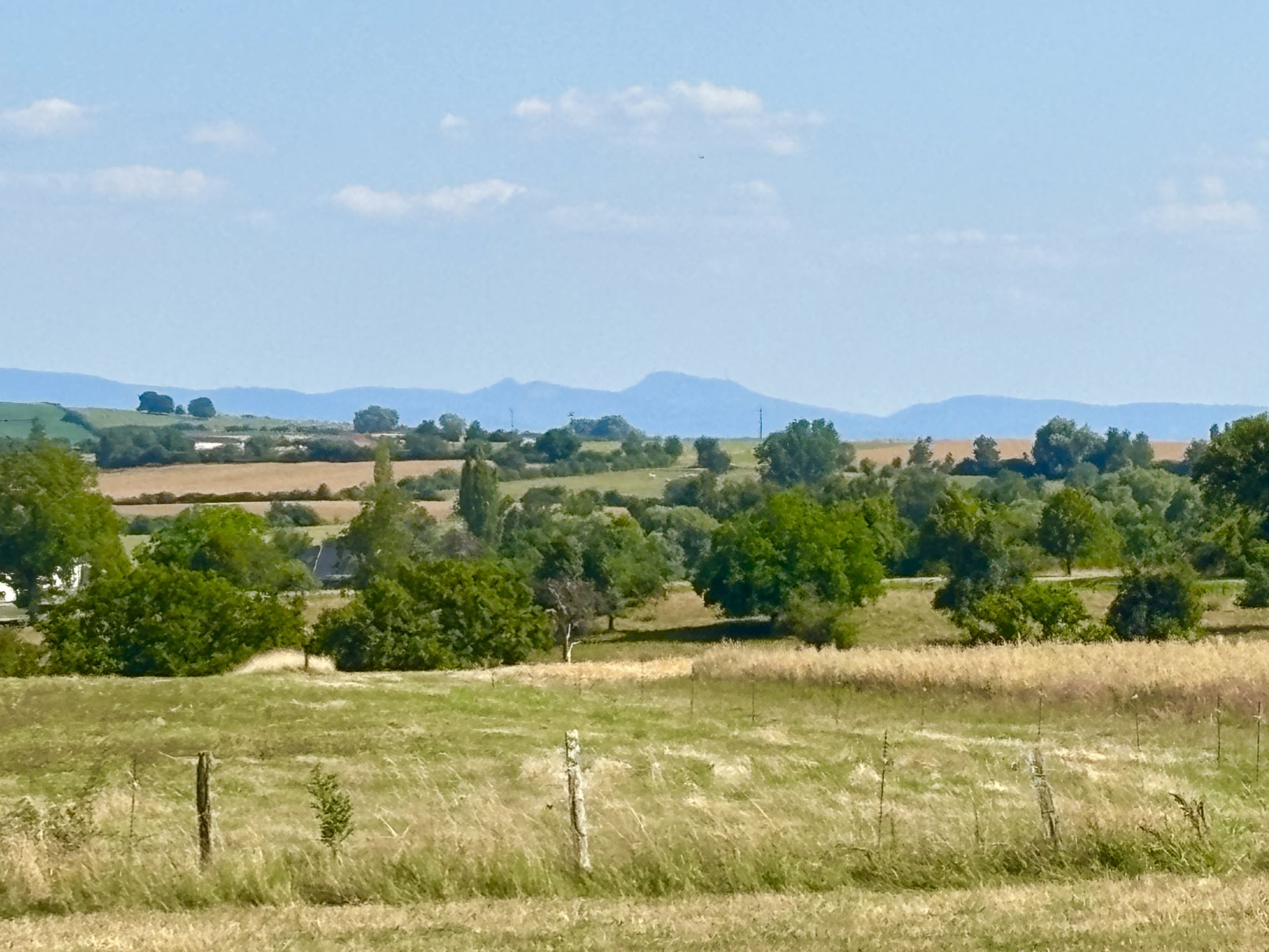 Vue lointaine sur les Vosges et le Donon