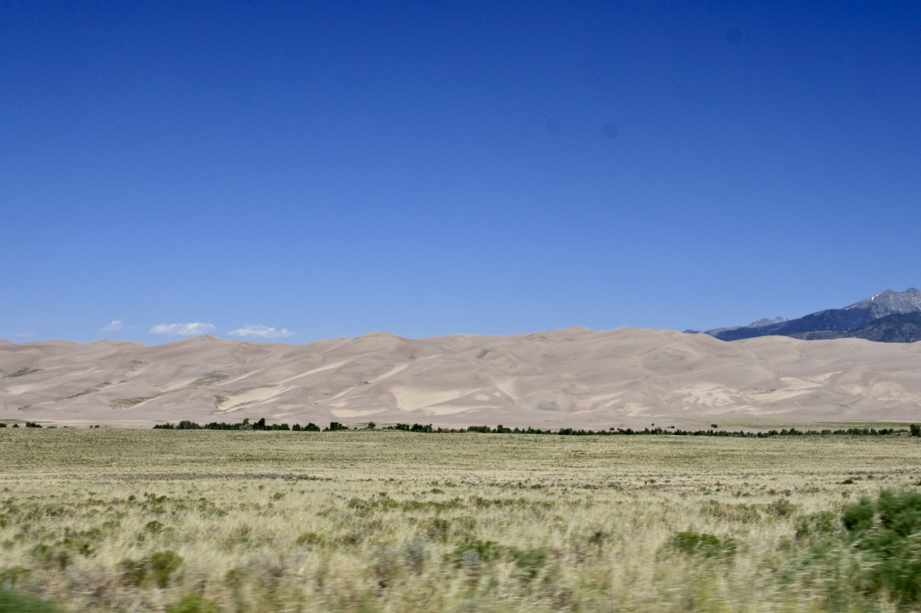 Wide view of vast sand dunes beyond a flat, grassy plain under a clear blue sky. - High Dune Trail