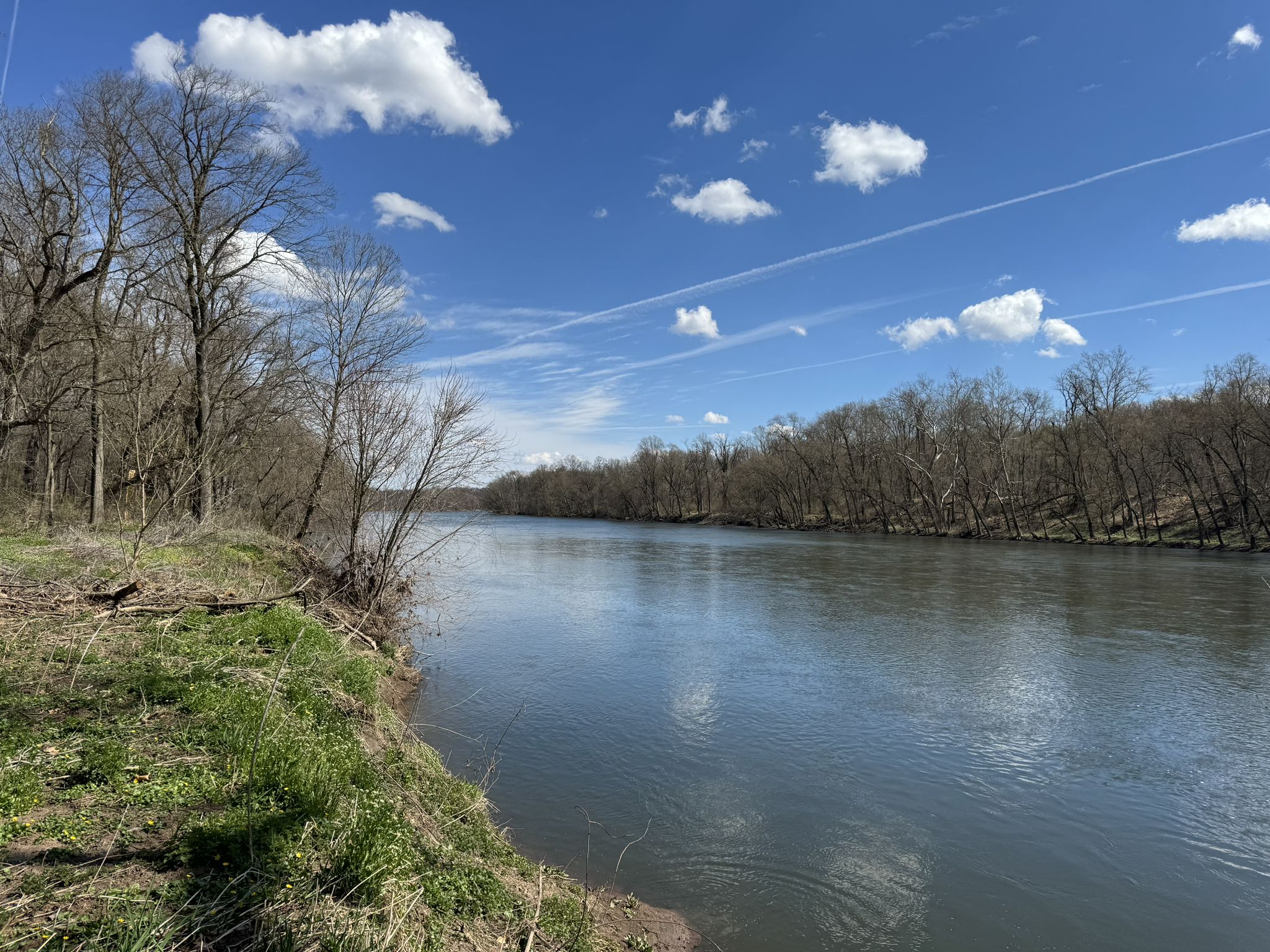 A wide river with bare trees lining its banks under a bright blue sky. - Commissary and Fatlands Trail Loop