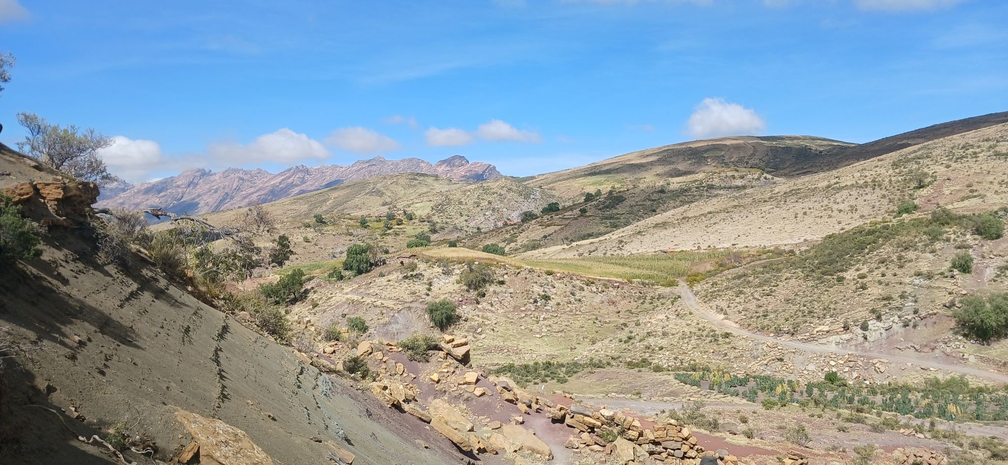en direction des traces de dinausores