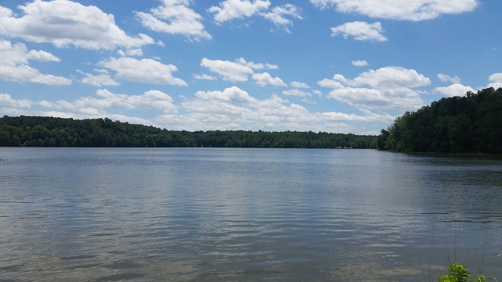 A wide, calm lake surrounded by dense green forest under a cloudy sky. - Cascades Preserve loop from Quarry Road