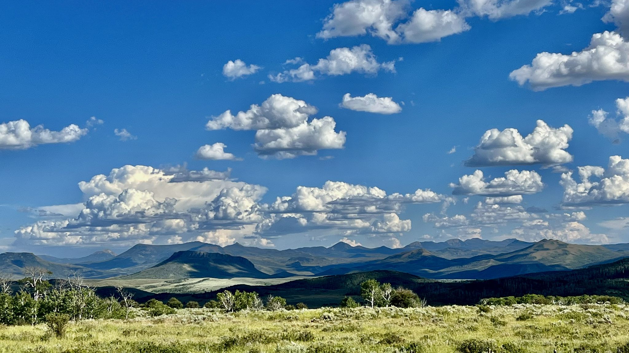 Expansive green landscape with distant mountains under a bright blue sky with clouds. - Reader to Battle Pass road ride