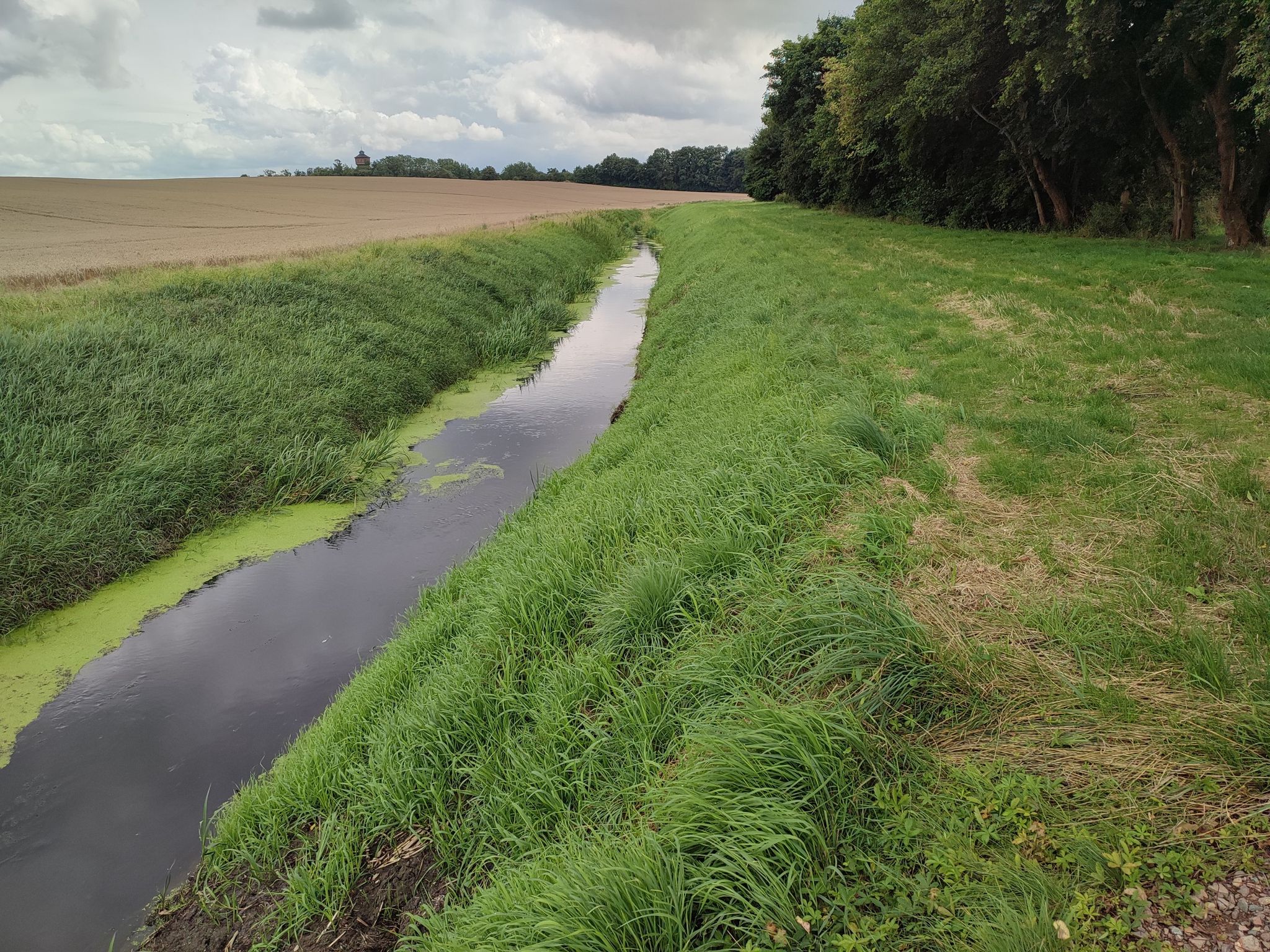 Aller in Ummendorf
