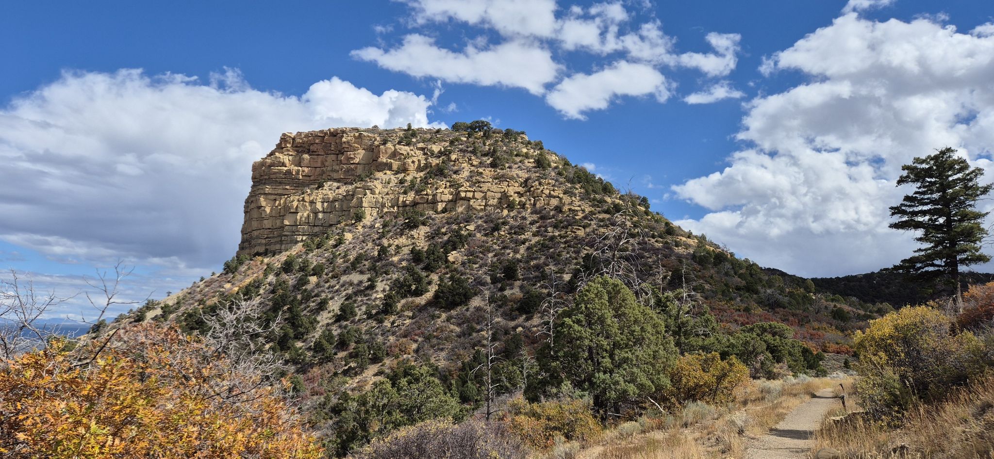 Large rocky mesa covered in sparse vegetation under a partly cloudy sky. - Knife Edge and Point Lookout Trail
