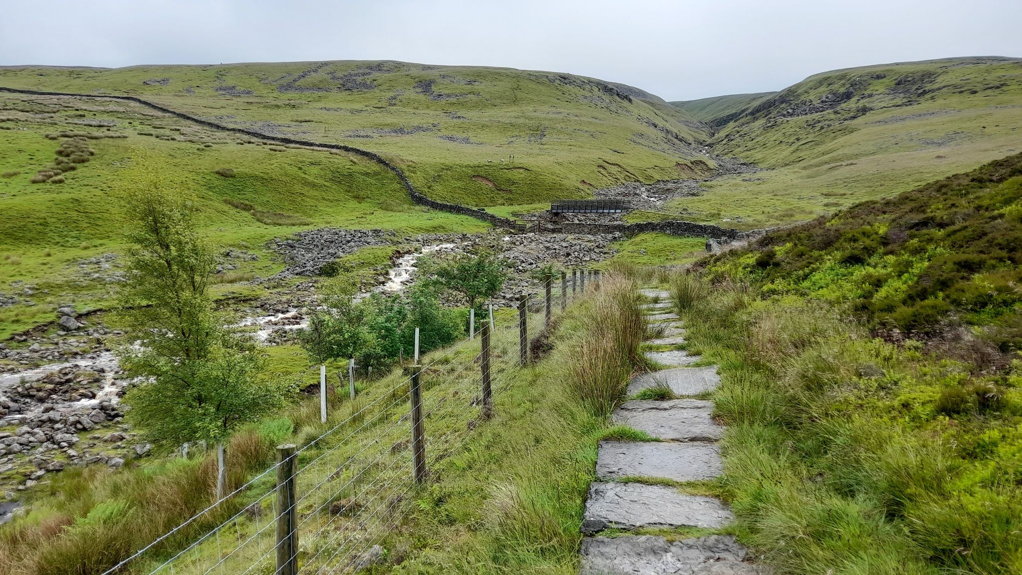 Knock Fell