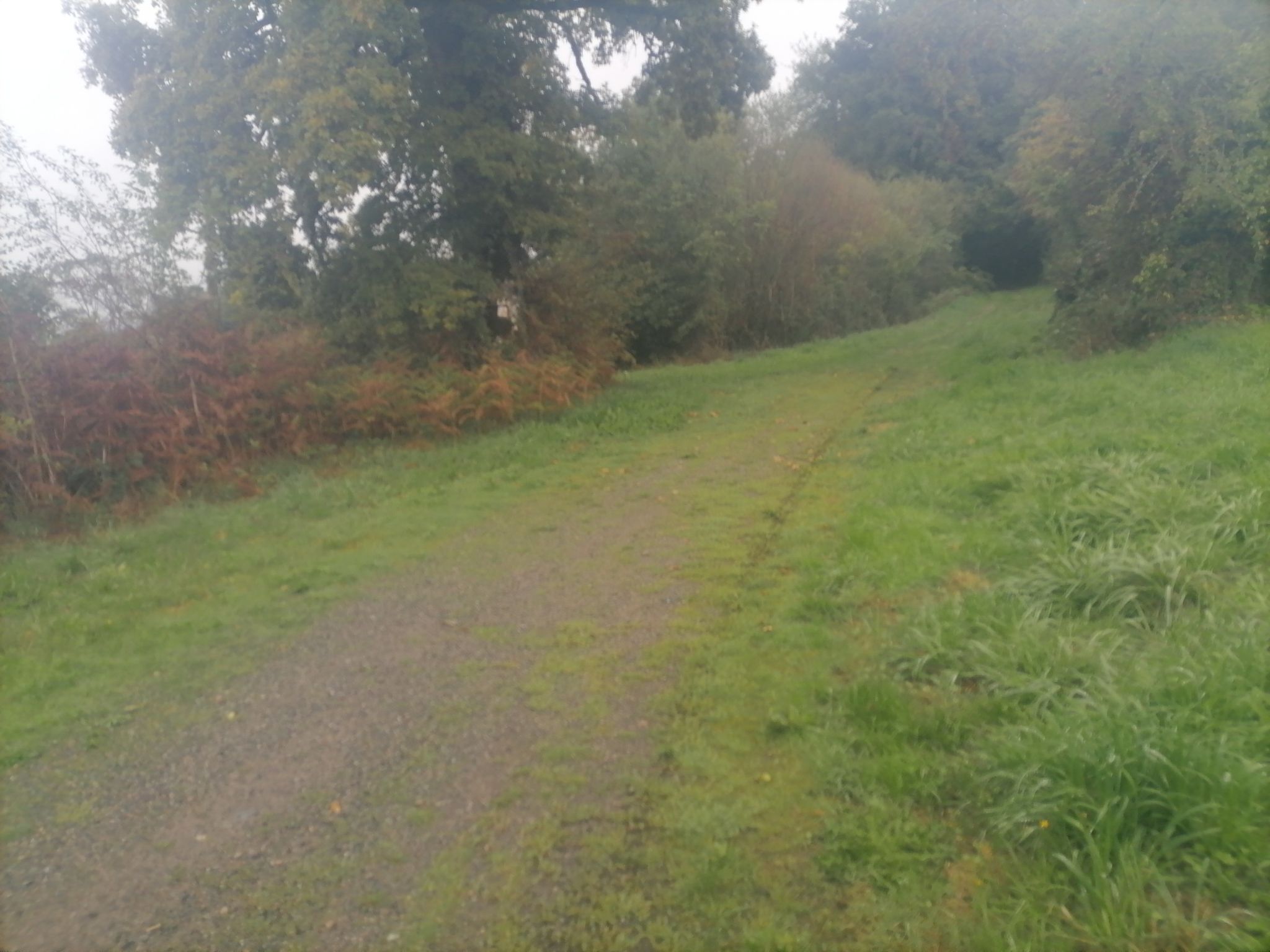 zone 3, synchronisation respiration et marche