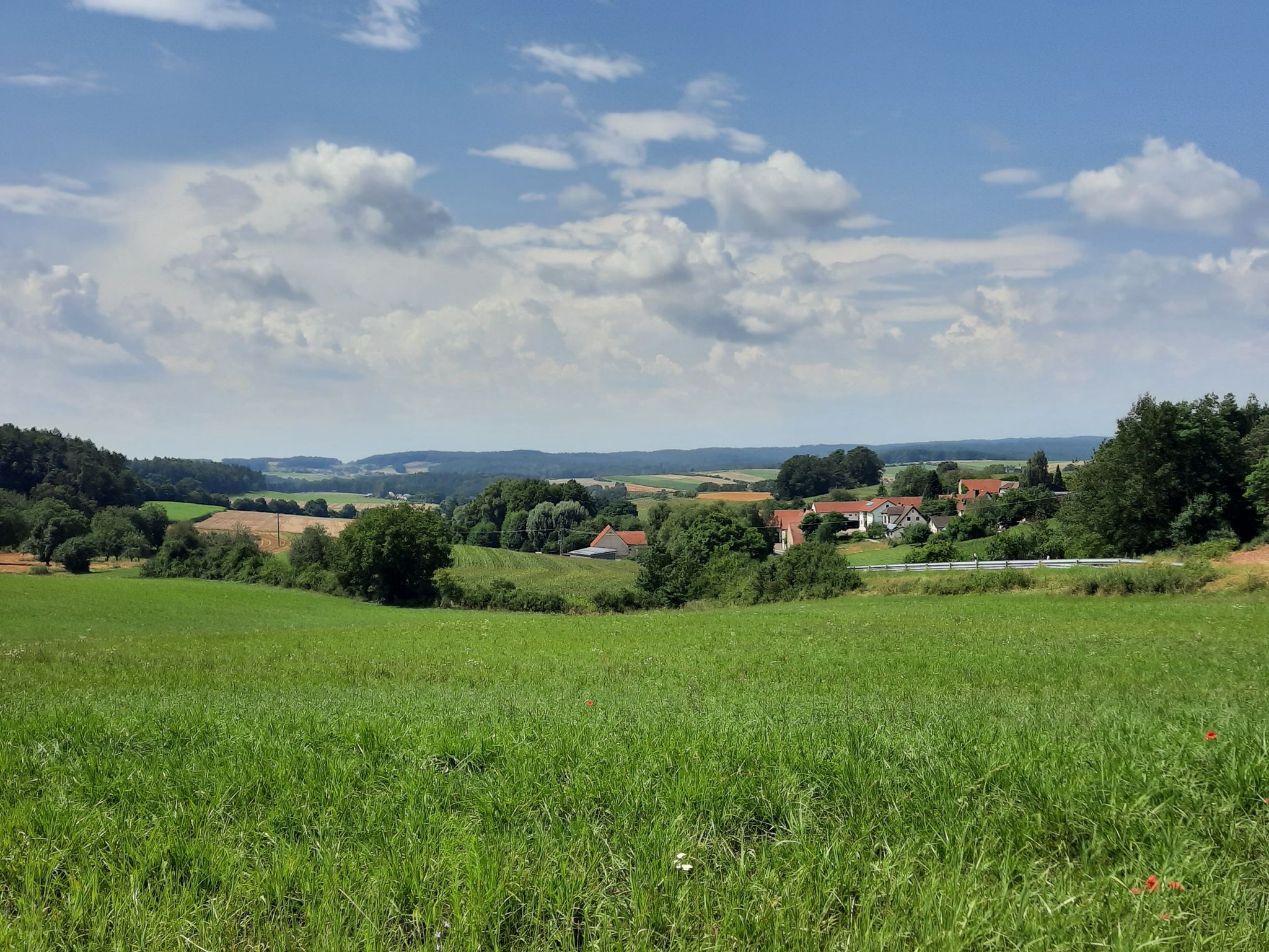 Blick nach Breitbrunn