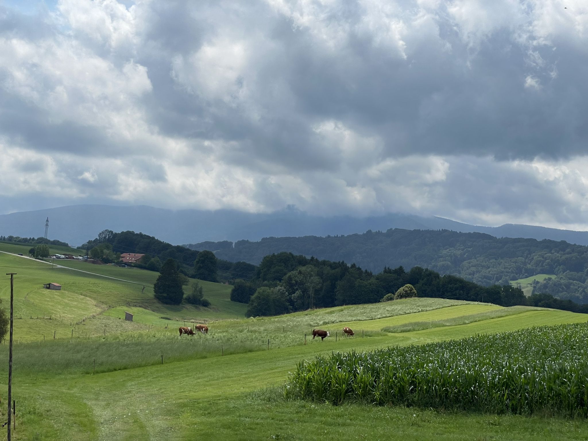 Nun bin ich mit Blick in die Berge unterwegs.