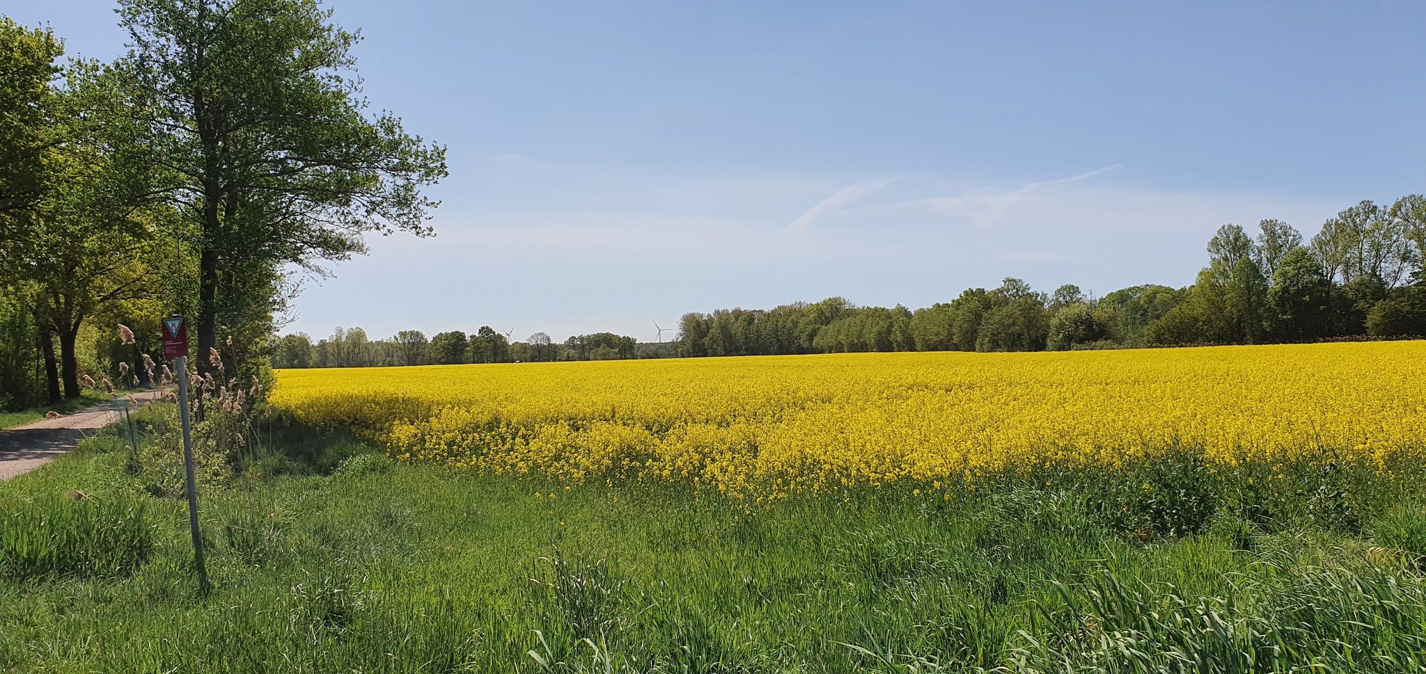 Lüchower Landgrabenniederung