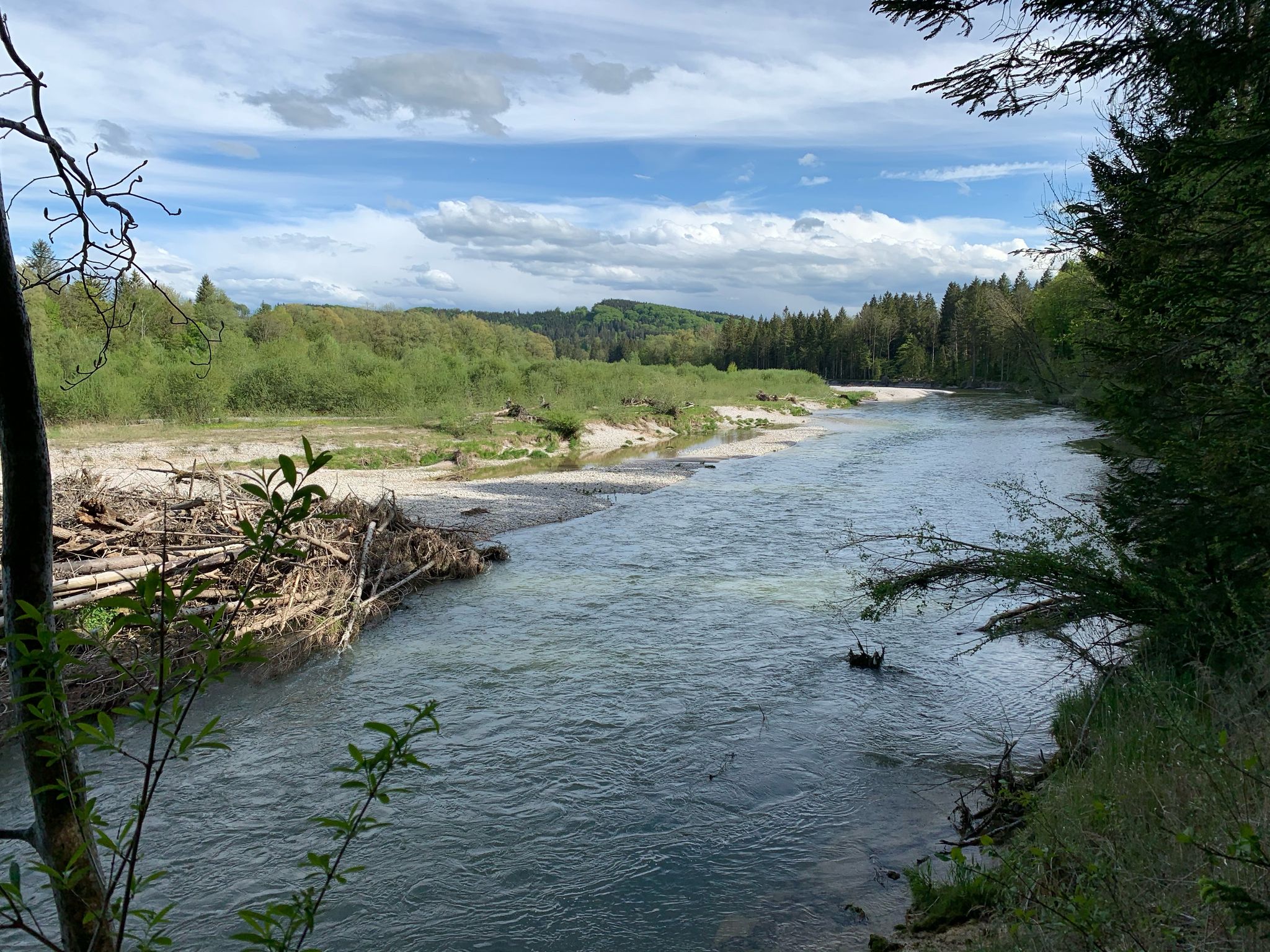 Hier ist die Isar noch ganz ursprünglich