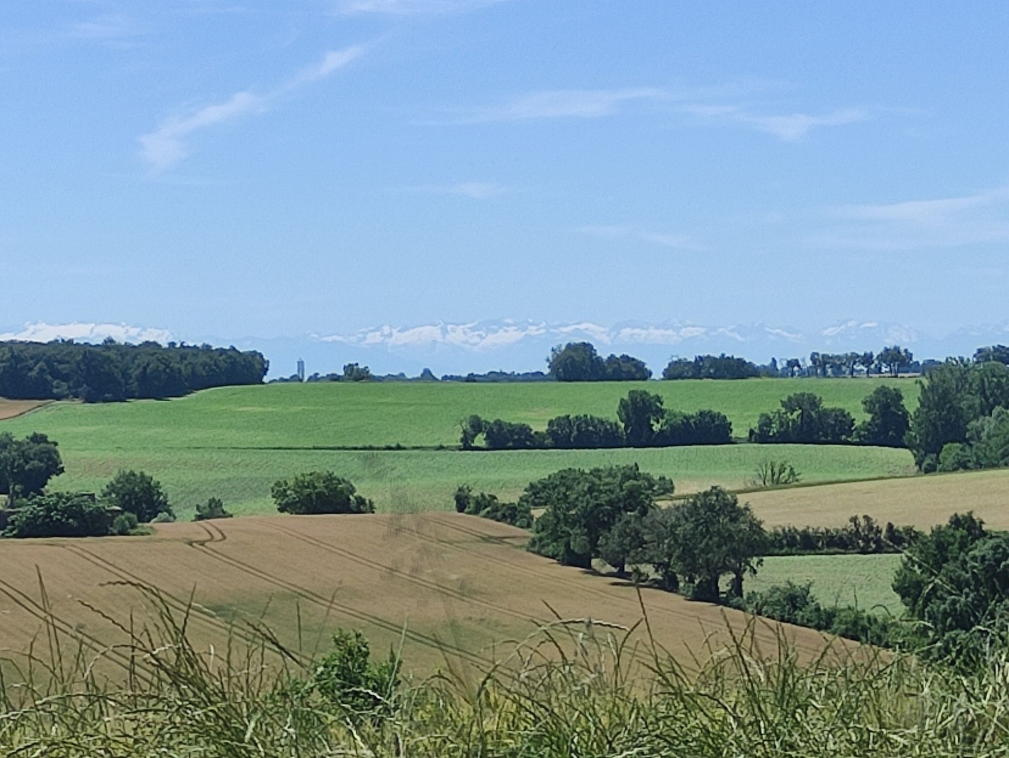 Campagne gersoise dominée par la chaine Pyrénéenne