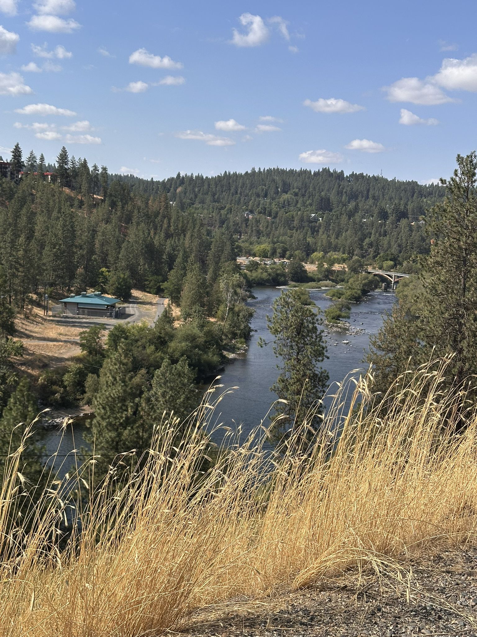 Overlook of a river winding through a forested valley on a sunny day. - Hiking loop from Spokane