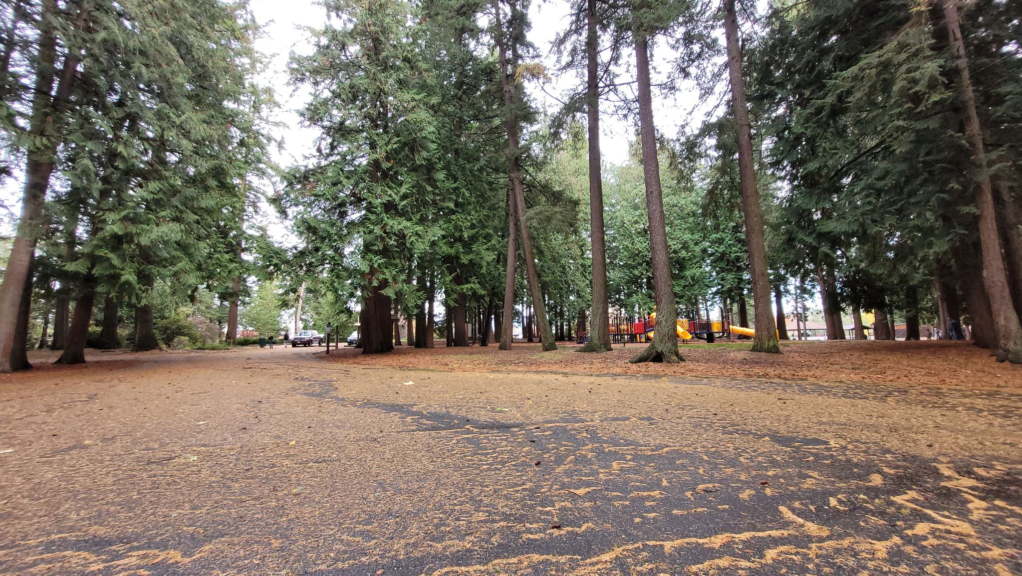 Hillcrest Park is vacant on this overcast Sunday