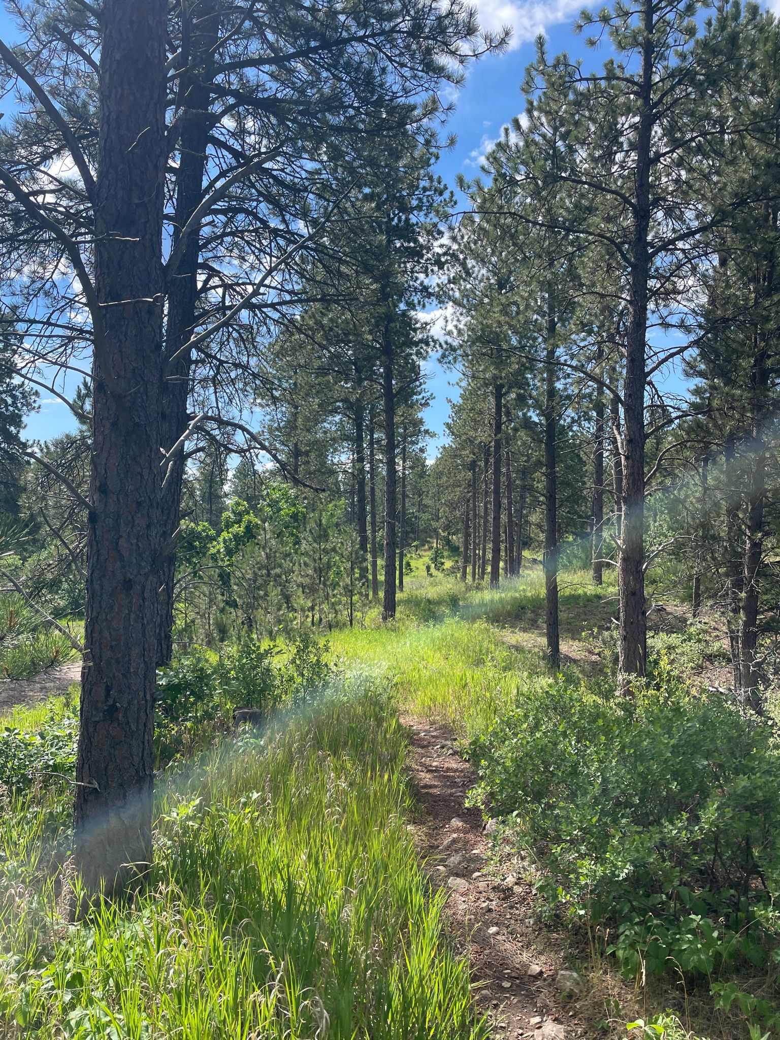 beautiful hike this morning