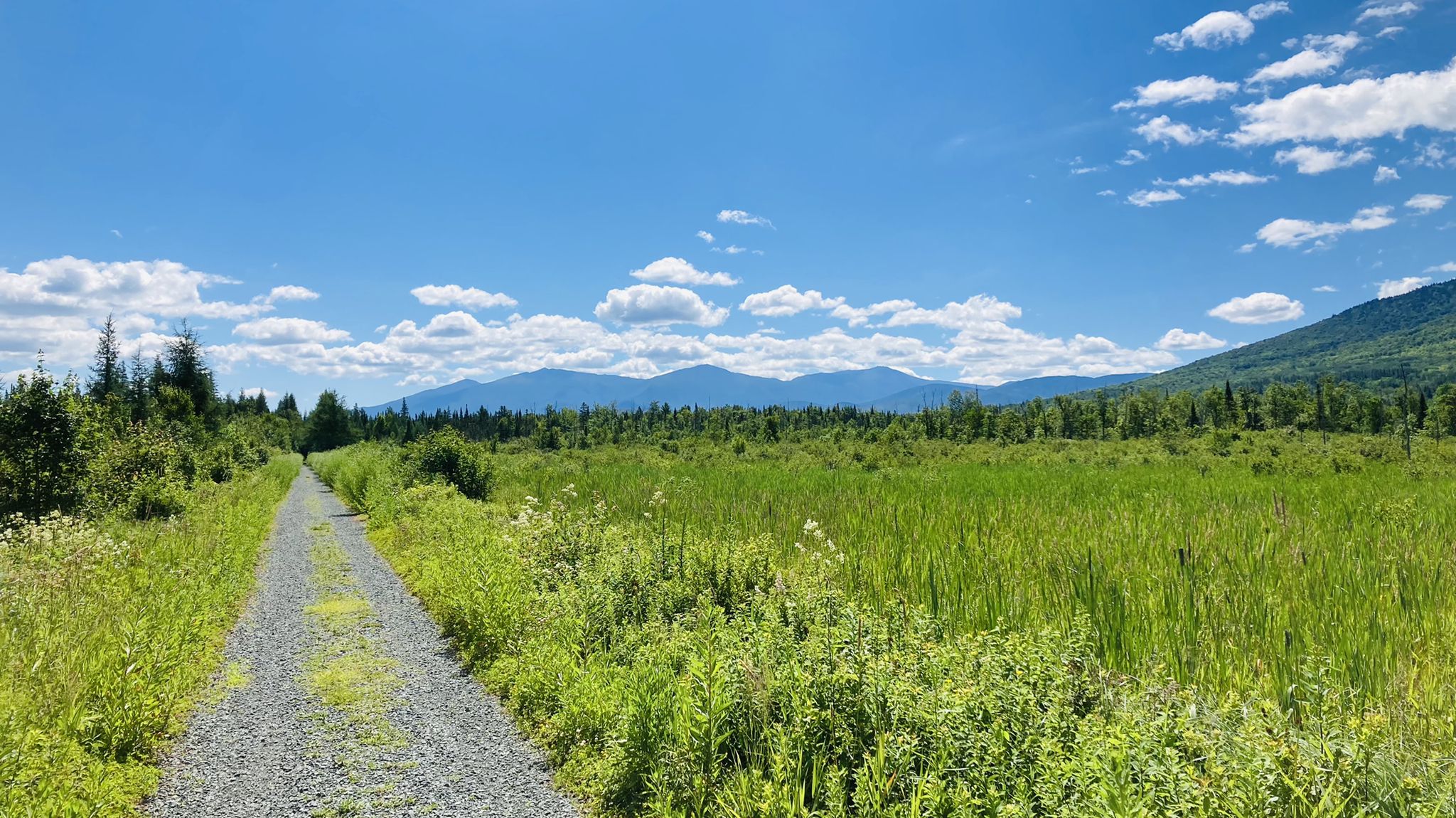 A gravel path extends through green fields towards distant mountains on a sunny day. - Presidential Rail Trail – Cherry Pond loop from Gorham