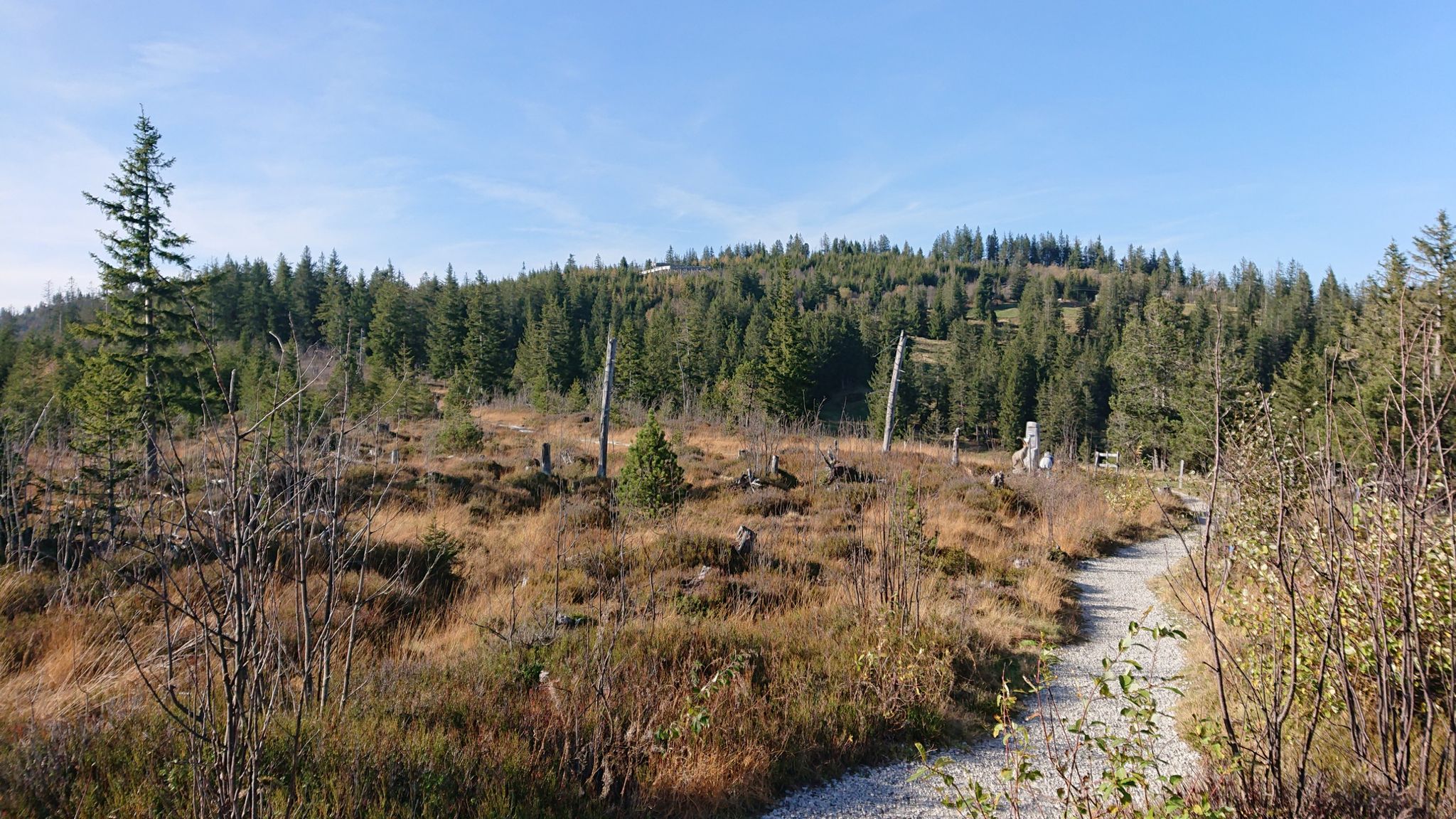 Da oben im Wald sieht man schon den Gäggersteg.